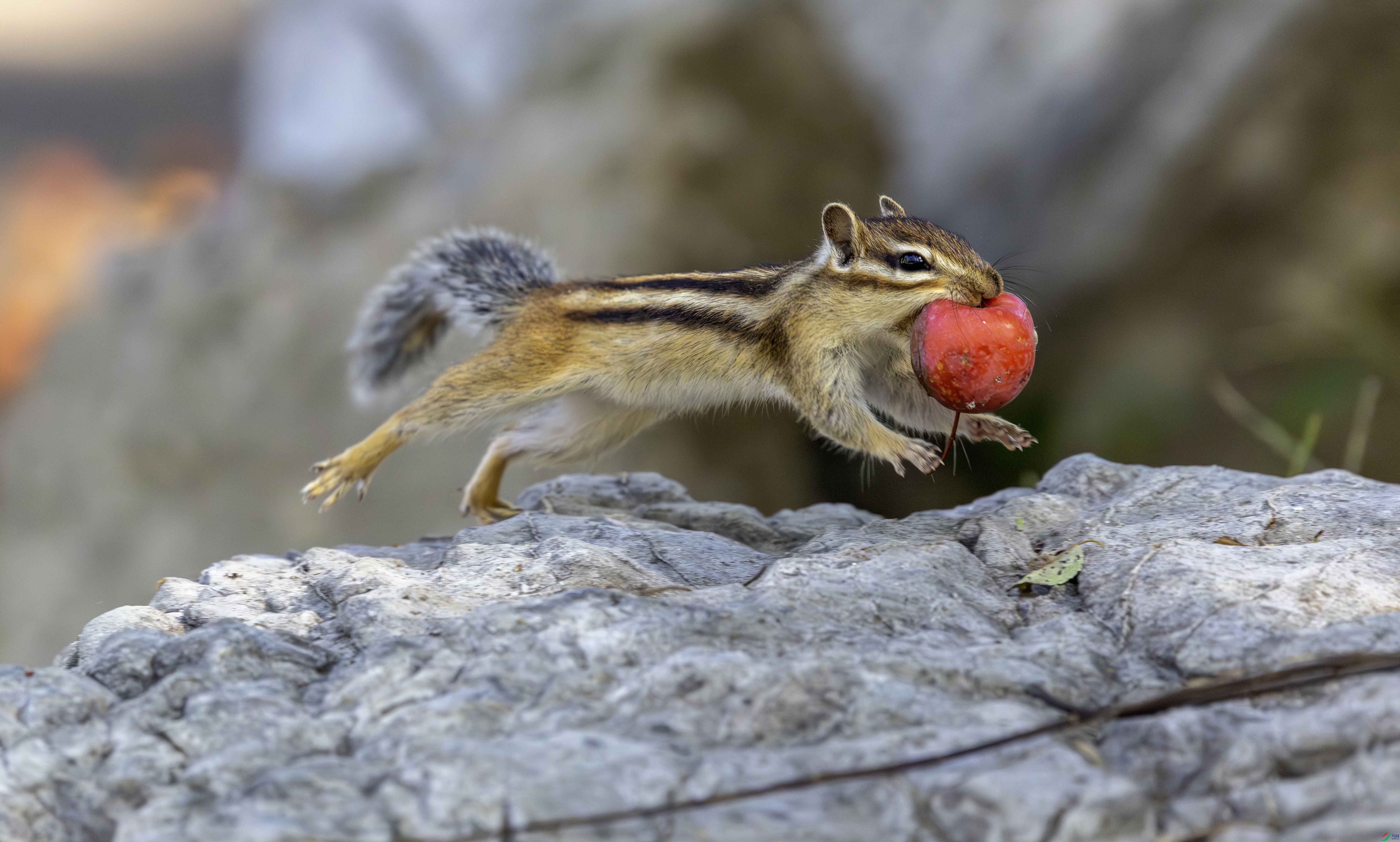 5N2A6650-1 ����.jpg