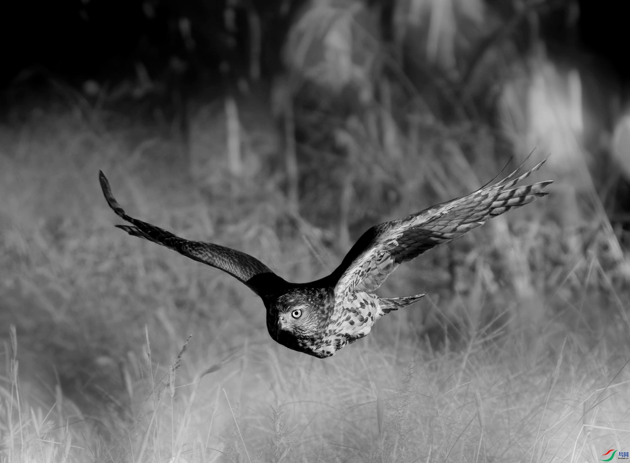 DSC07447 ����_��ͼ��_����.jpg