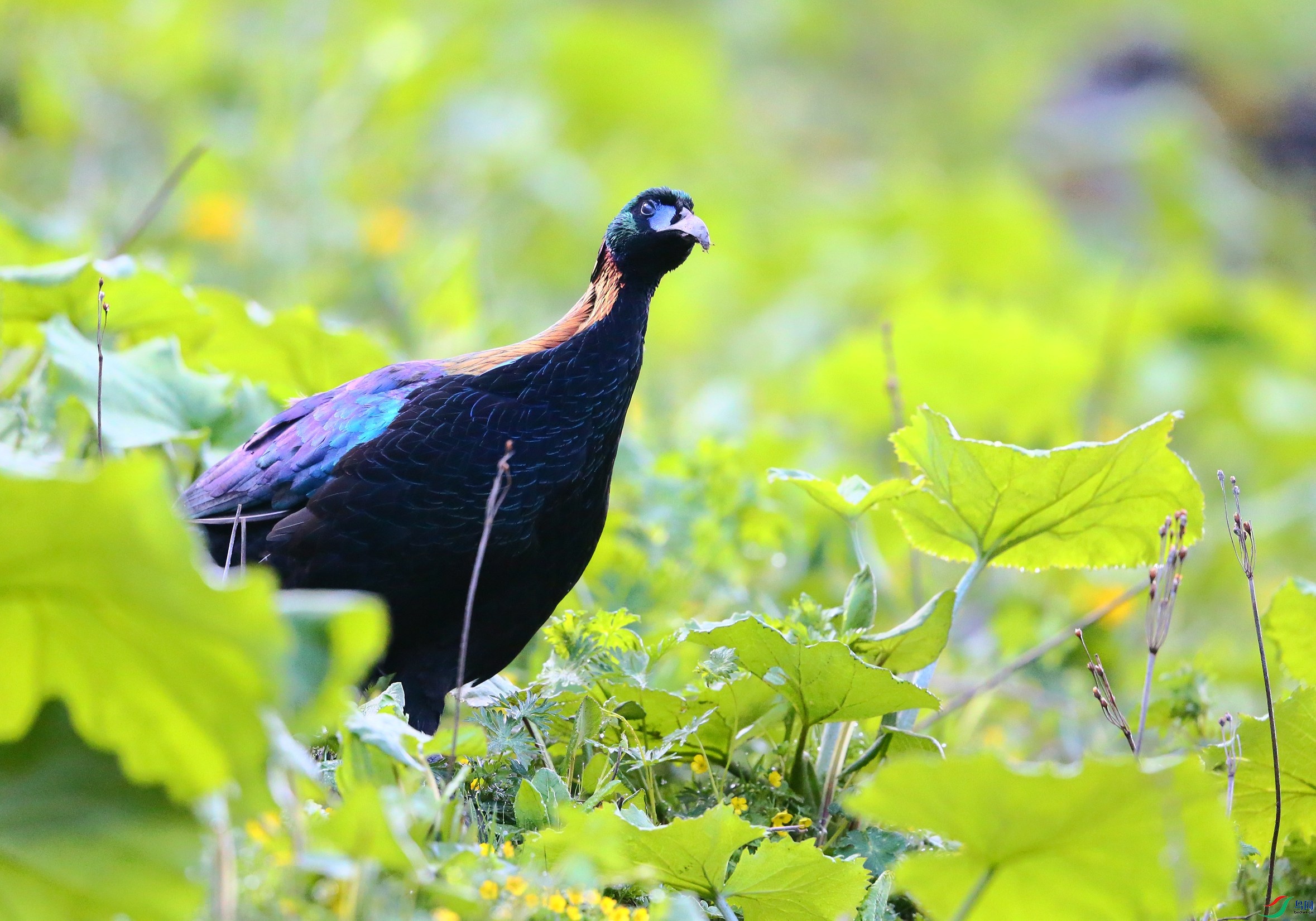 ��β���� (28).JPG