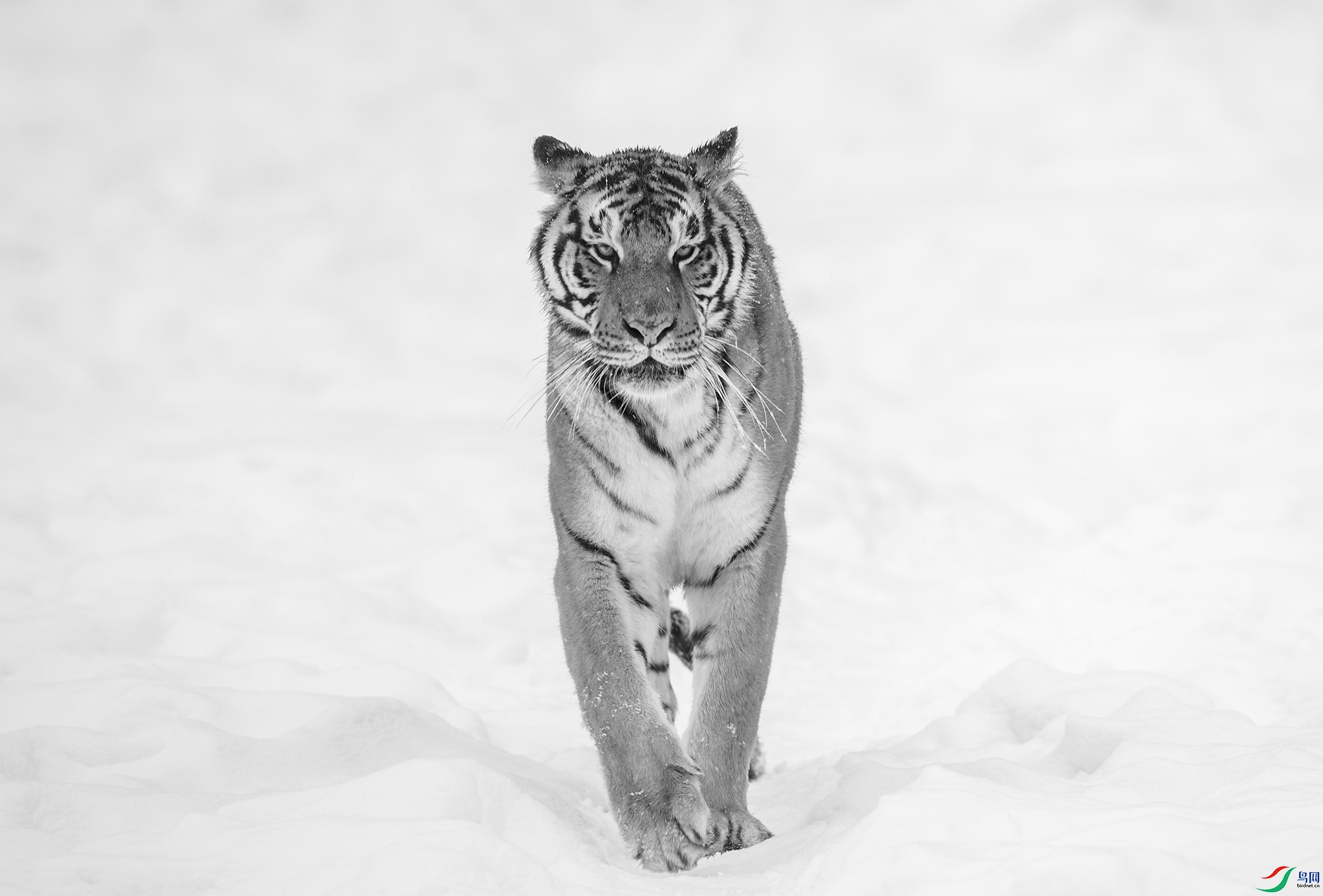 AC3I9504 ����.jpg