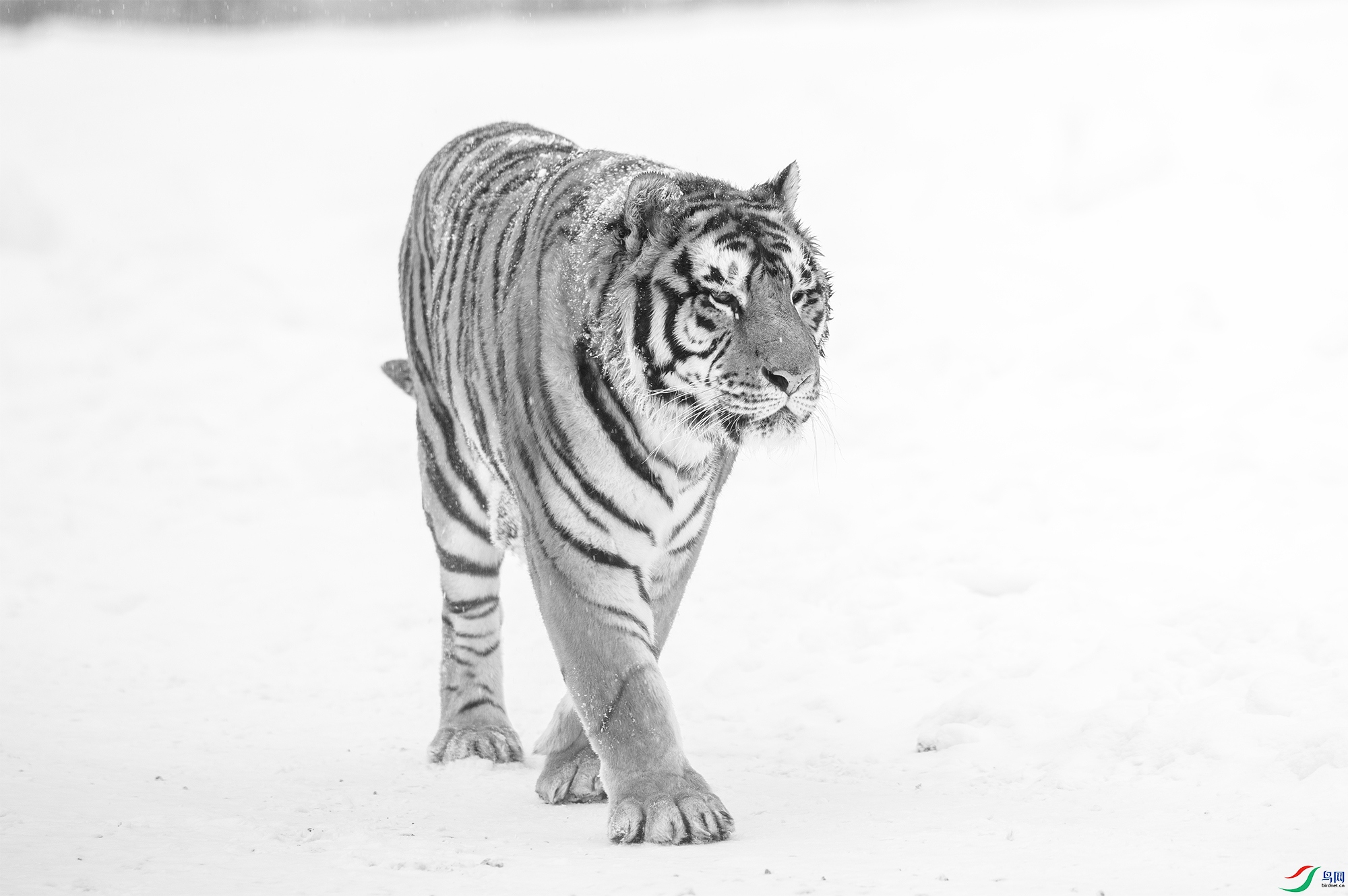 AC3I9415 ����.jpg