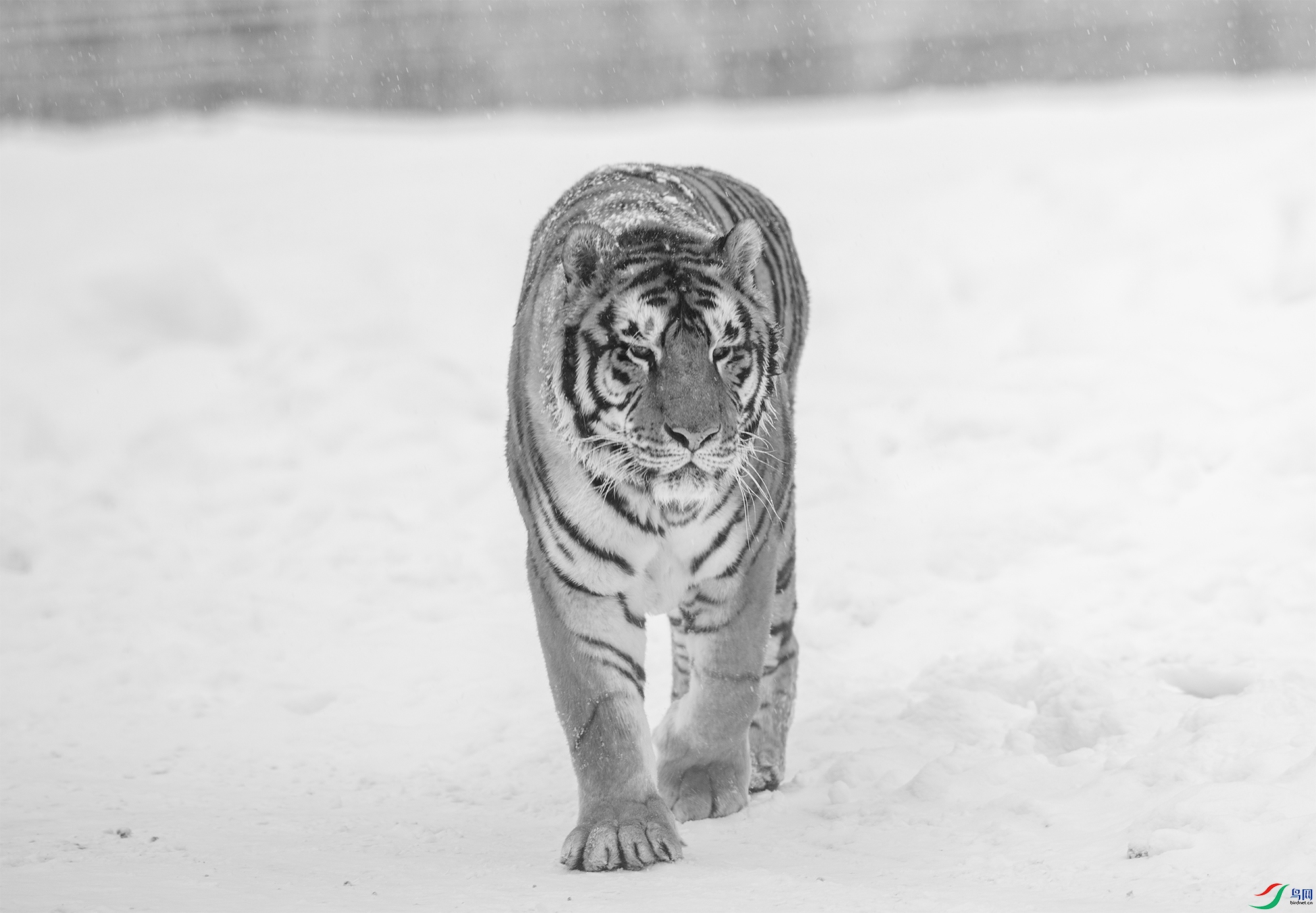 AC3I9412 ����.jpg