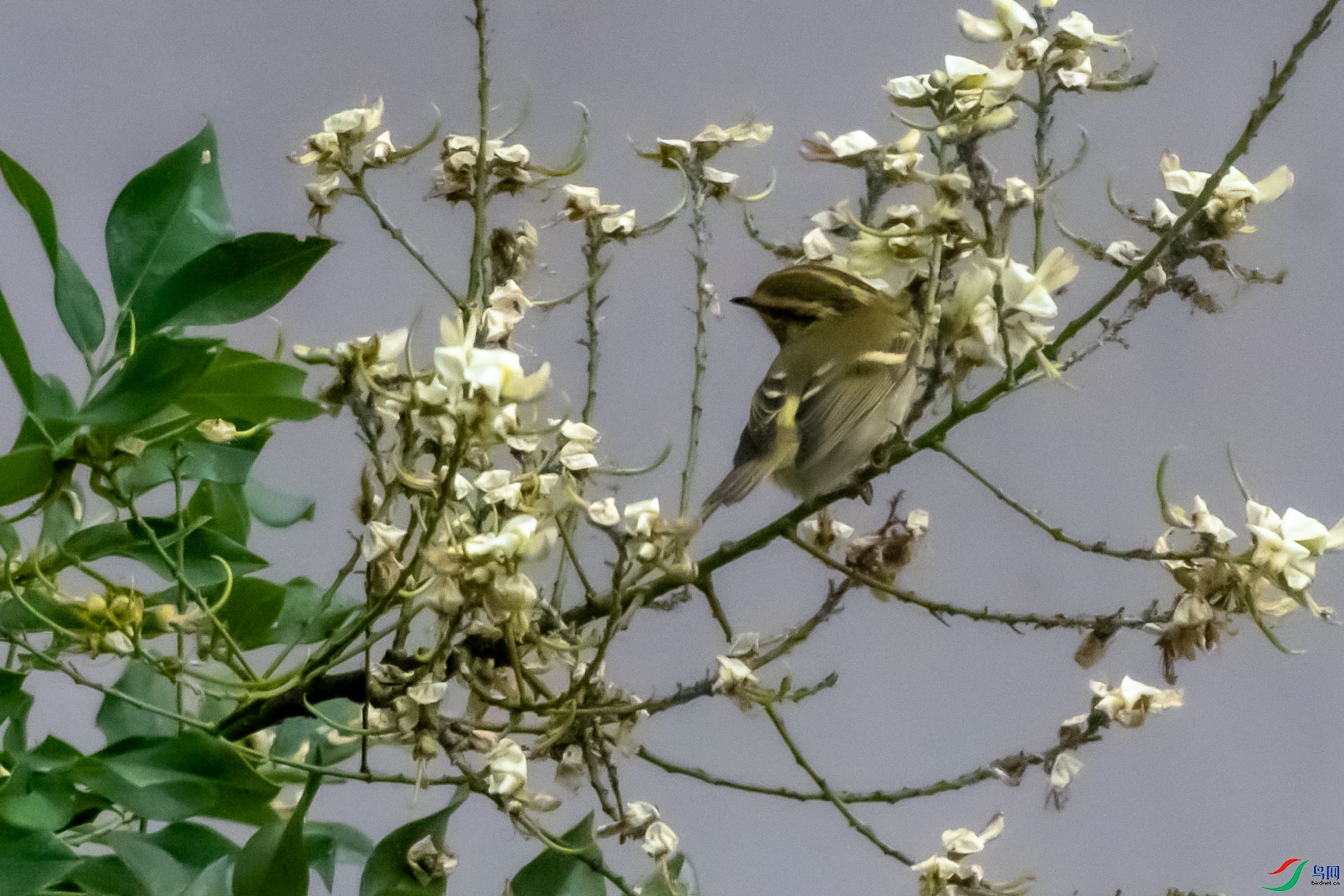 DSC_7139.jpg