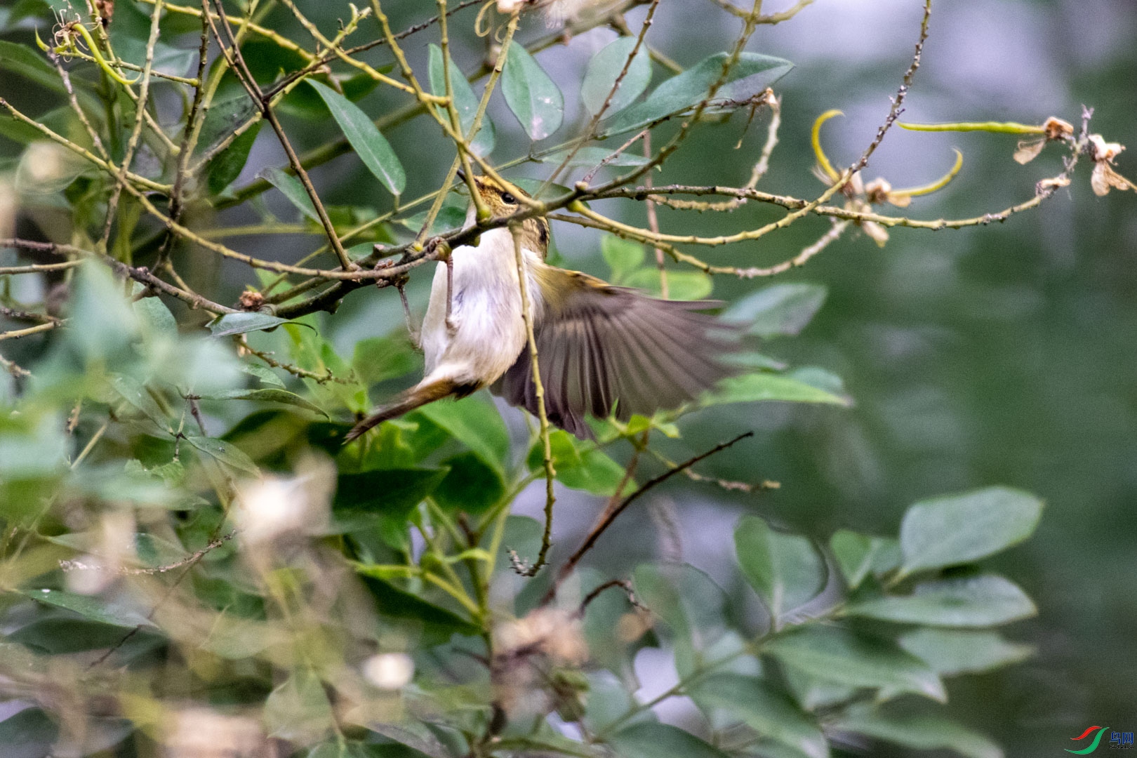 DSC_7191.jpg