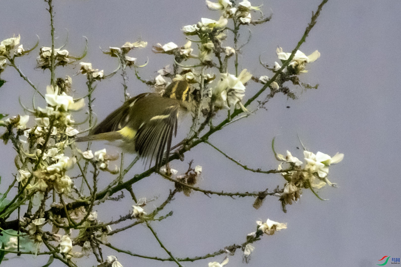 DSC_7138.jpg