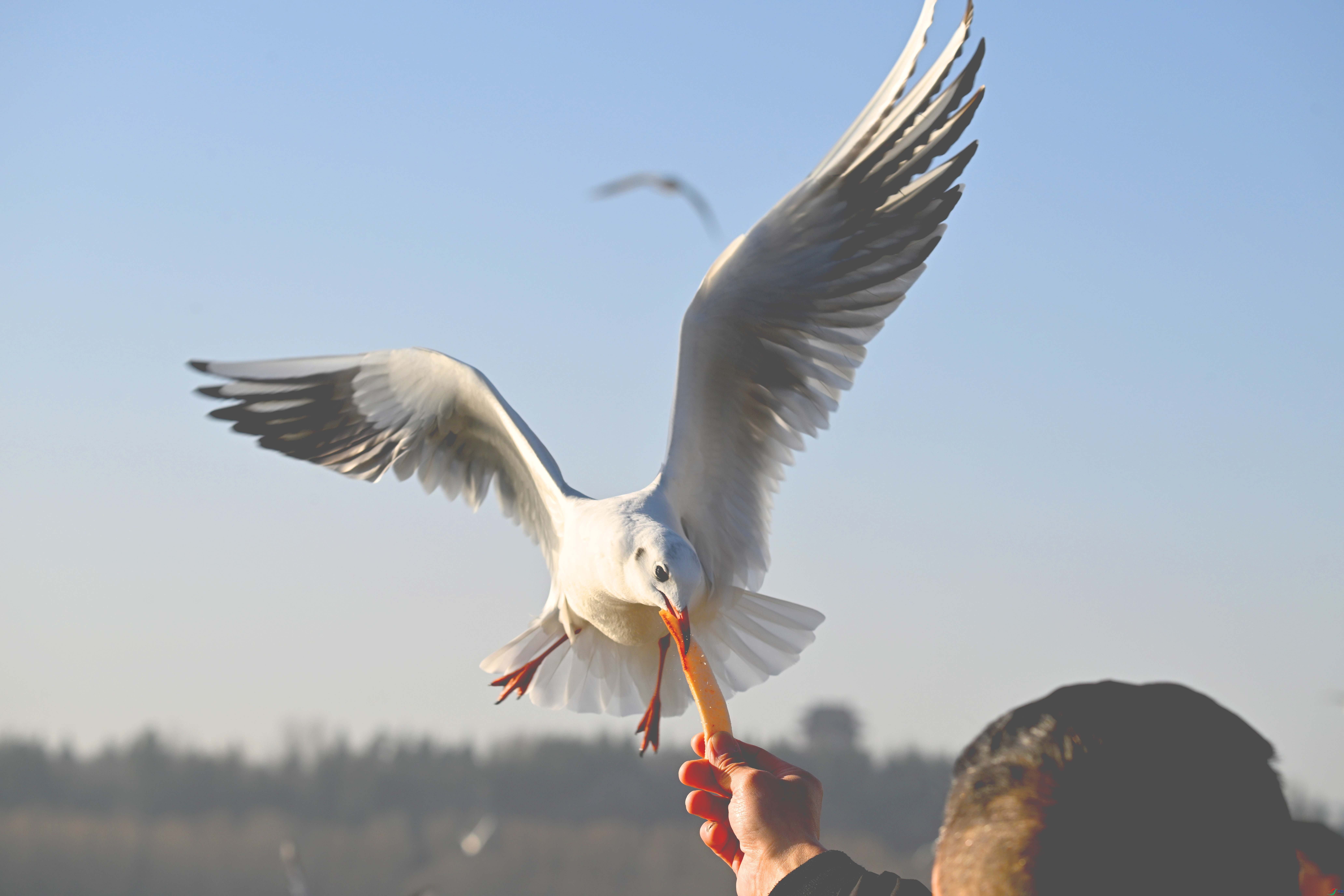 DSC_6493 ����.jpg