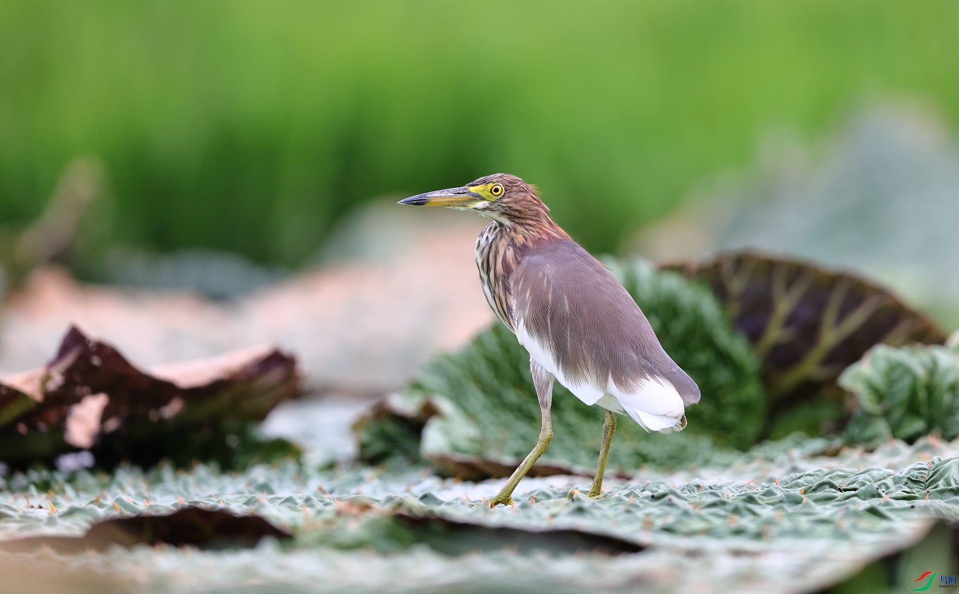 AC1I1380���.JPG