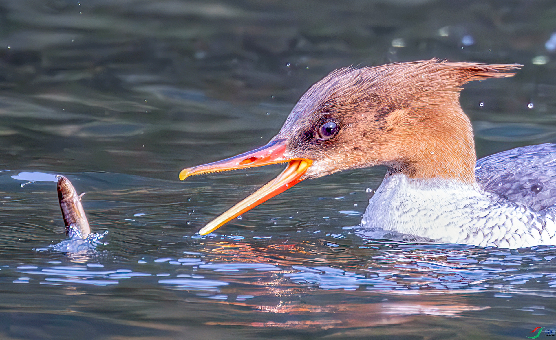 407A7632------33  .jpg