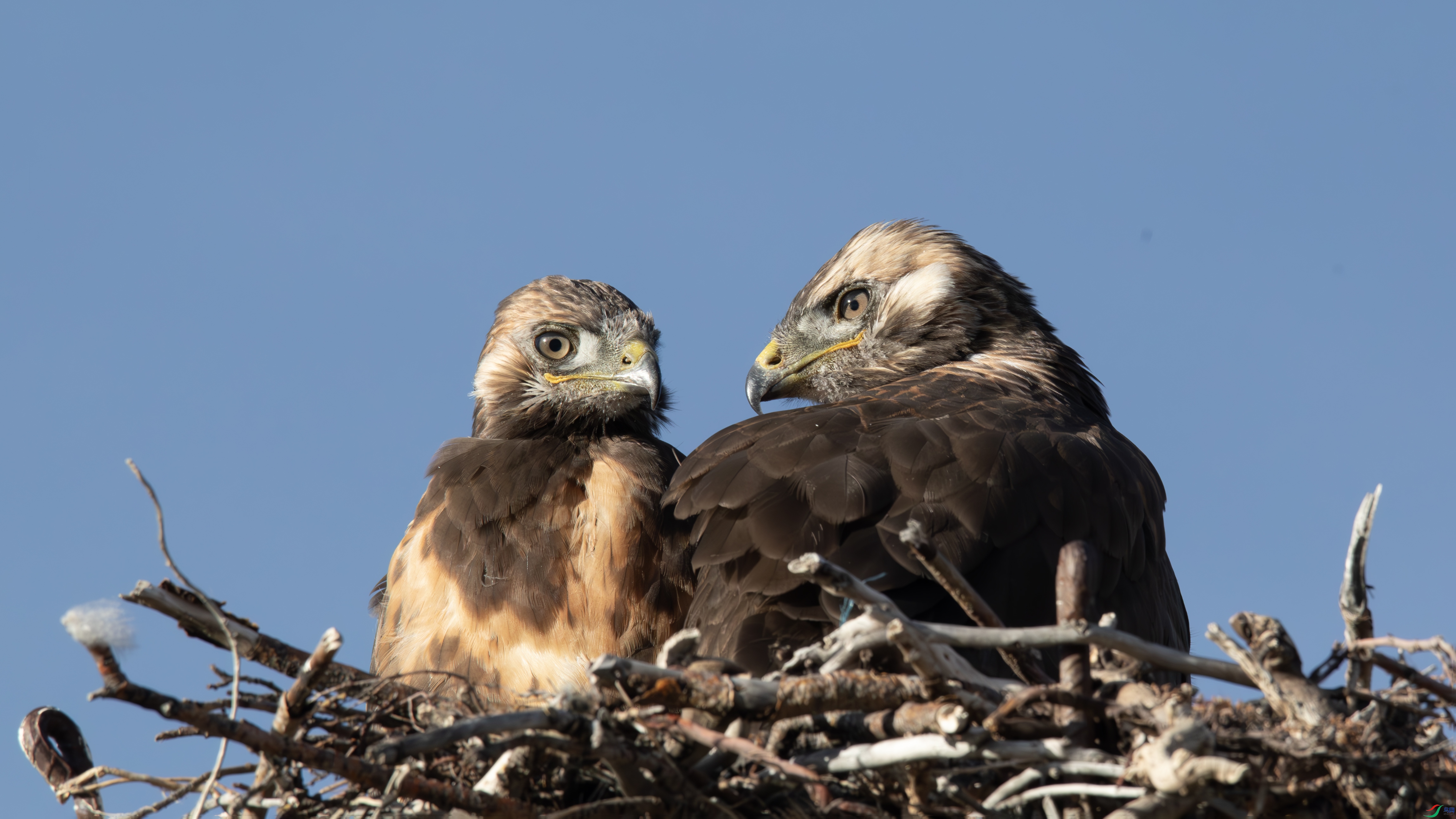 000A0211-����ǿ-NR ����.jpg