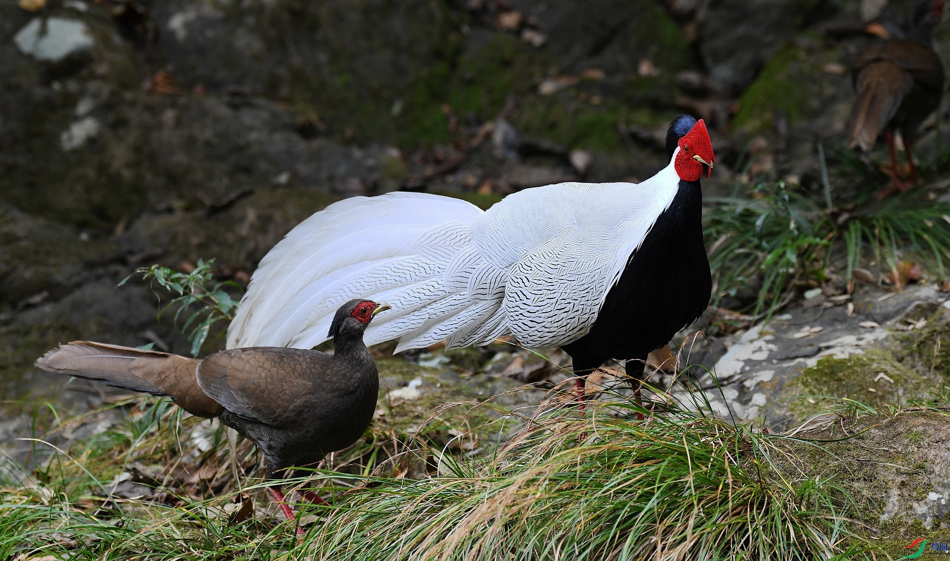DSC_2224.jpg