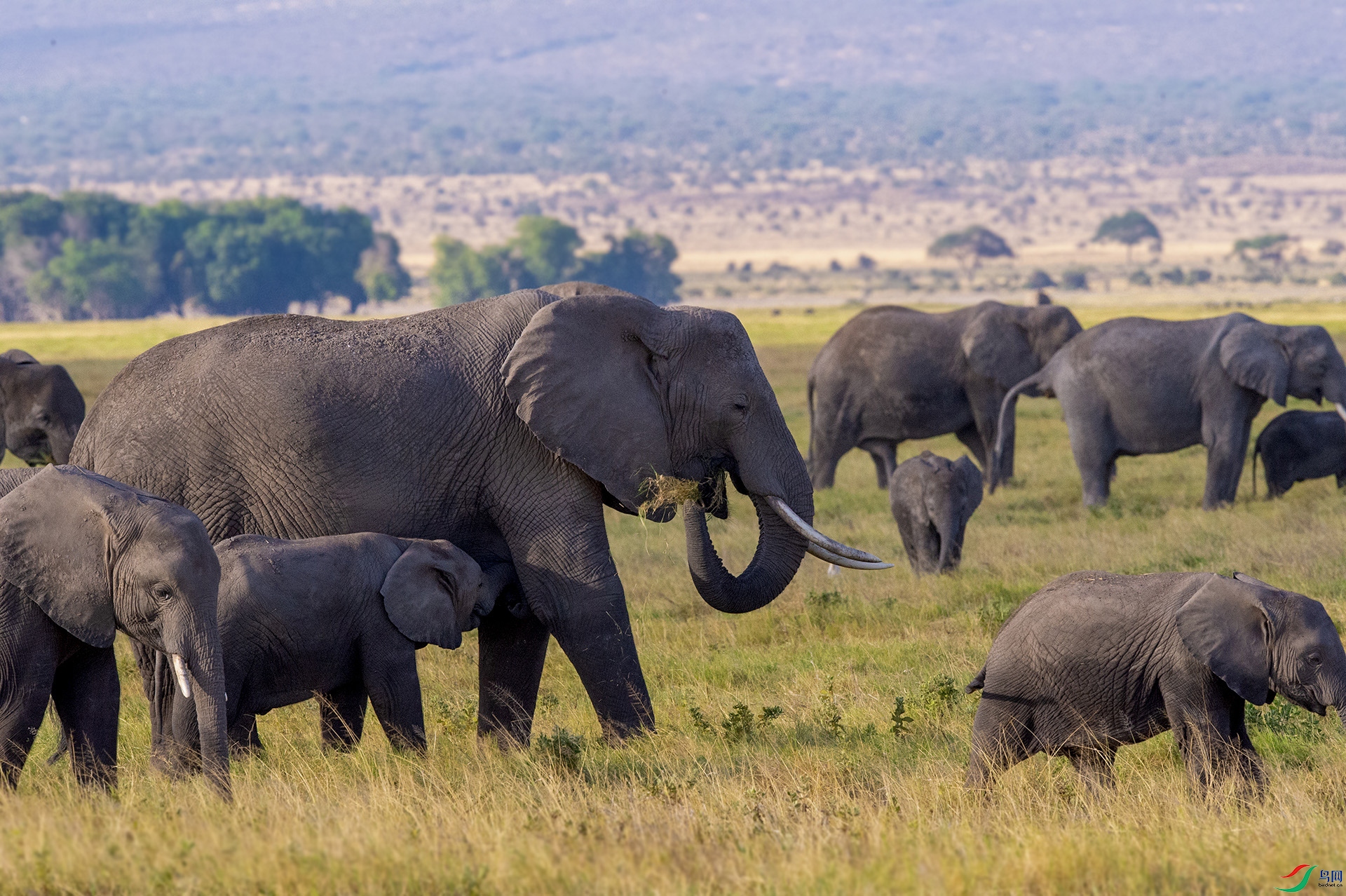 DSC_2497 ����0 ����.jpg