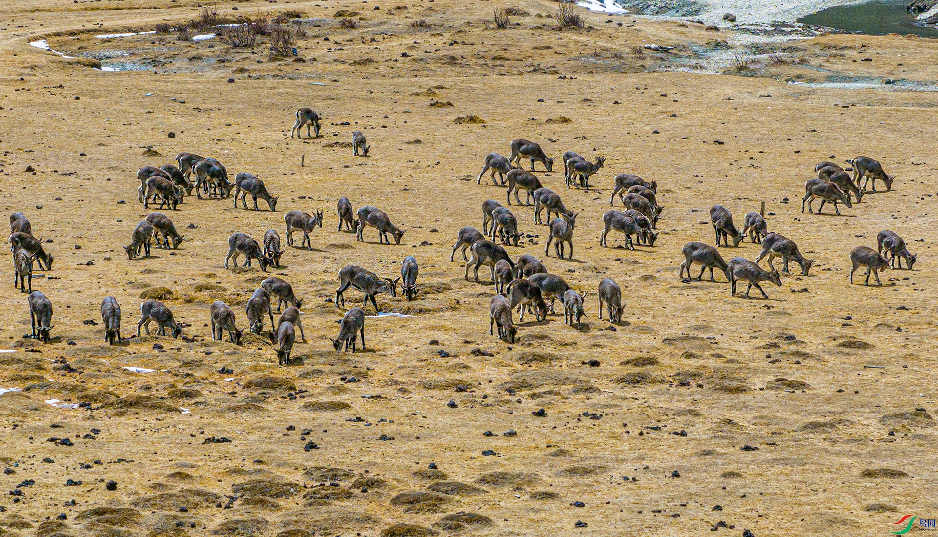 DJI_20240330132310_0827_D-1.jpg