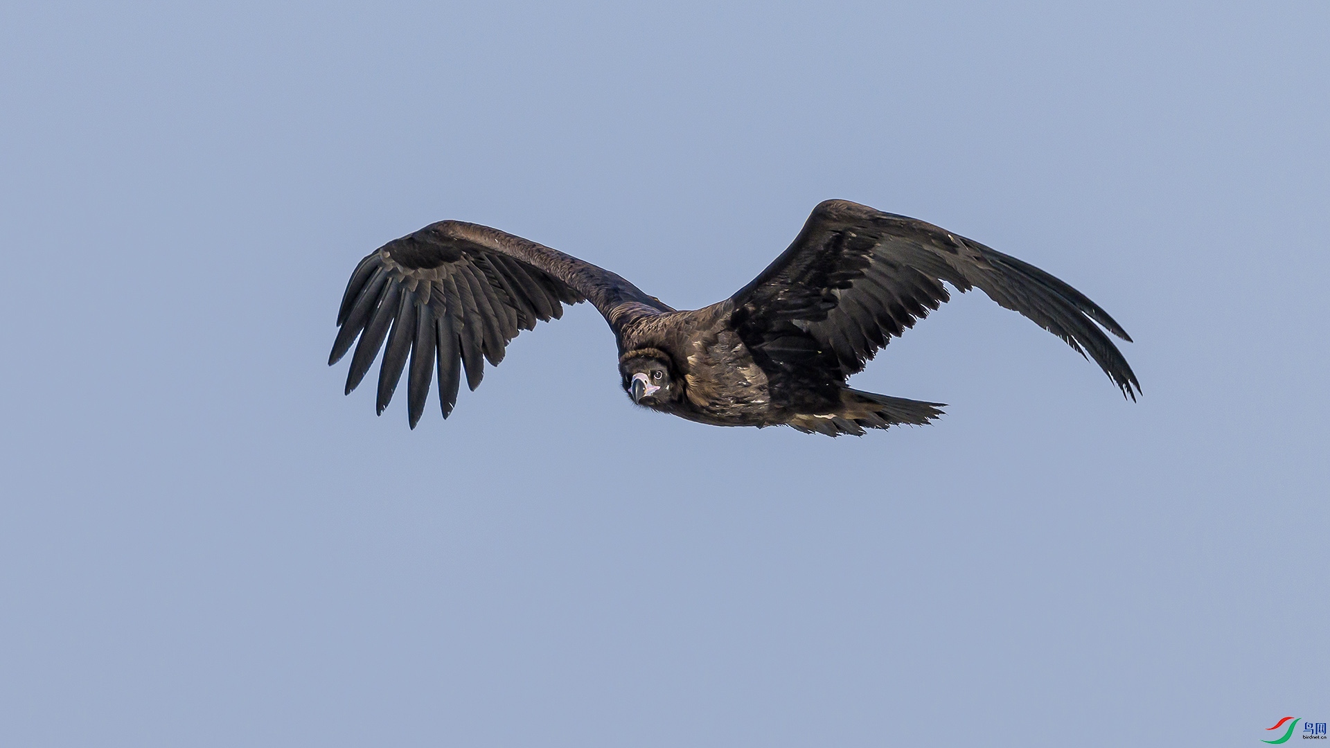 051A2057 ����n.jpg