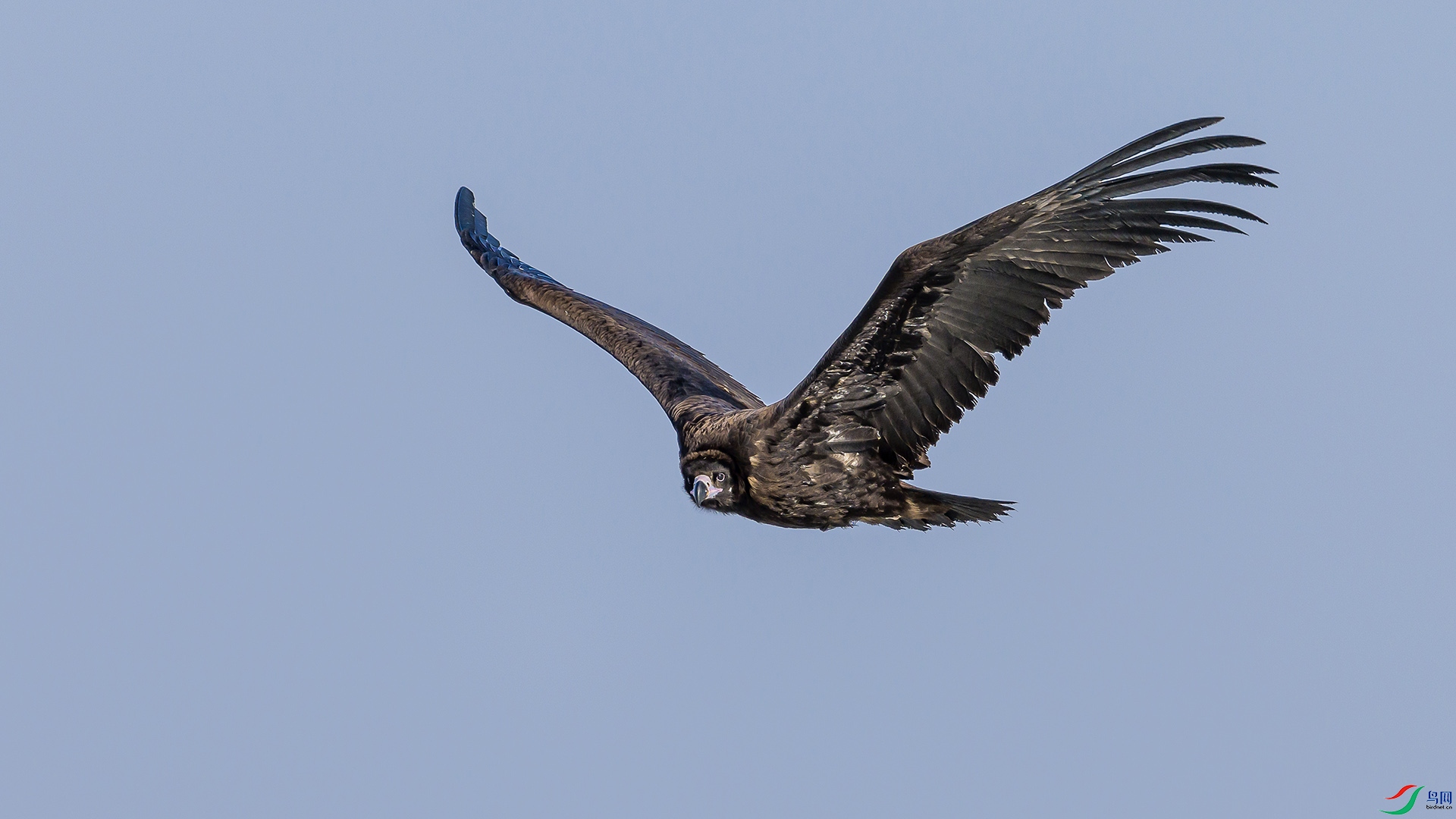 051A2058 ����n.jpg