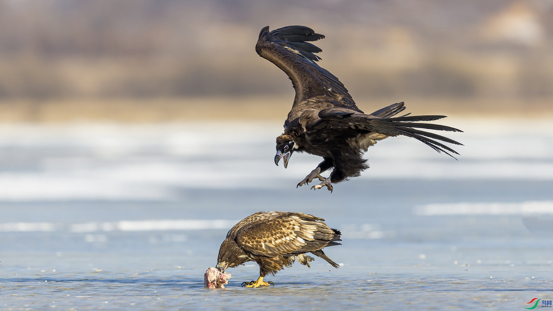 051A2219 ����n.jpg