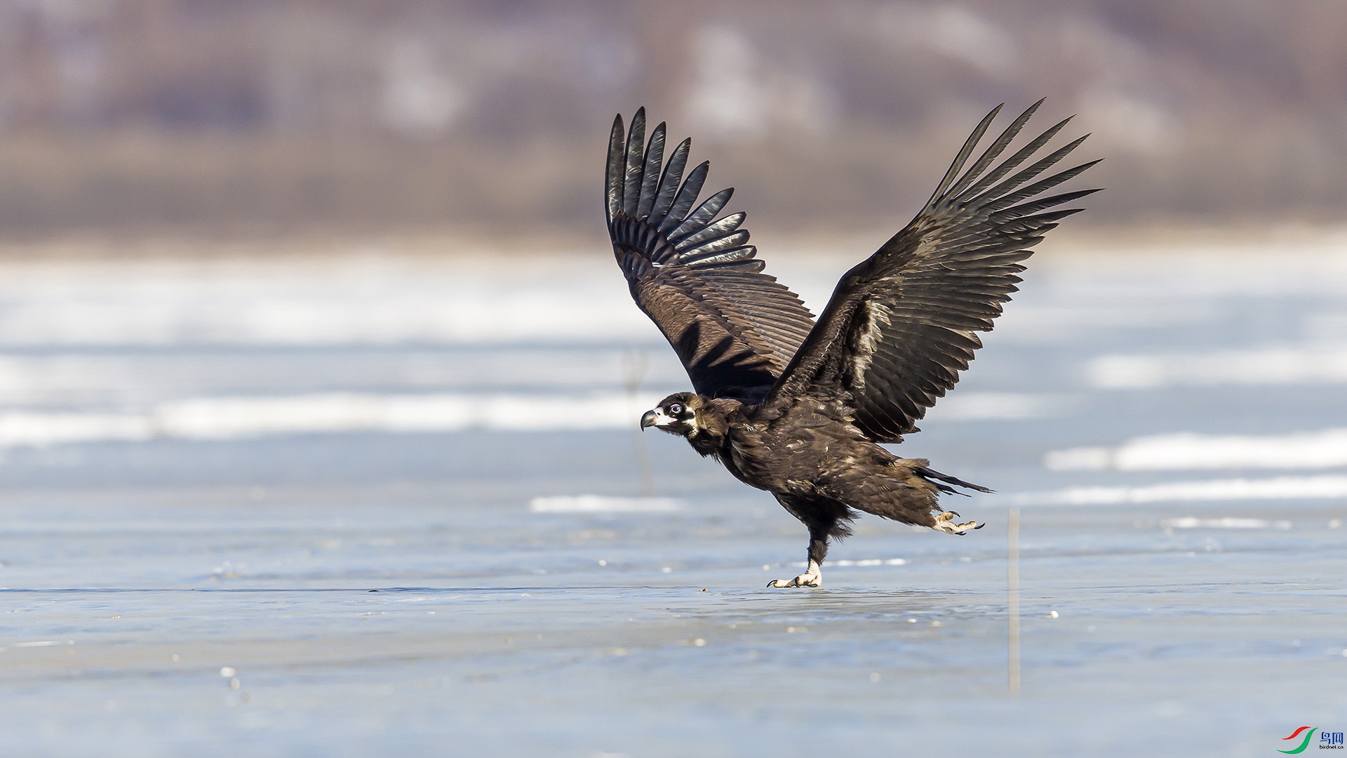 051A2750 ����n.jpg