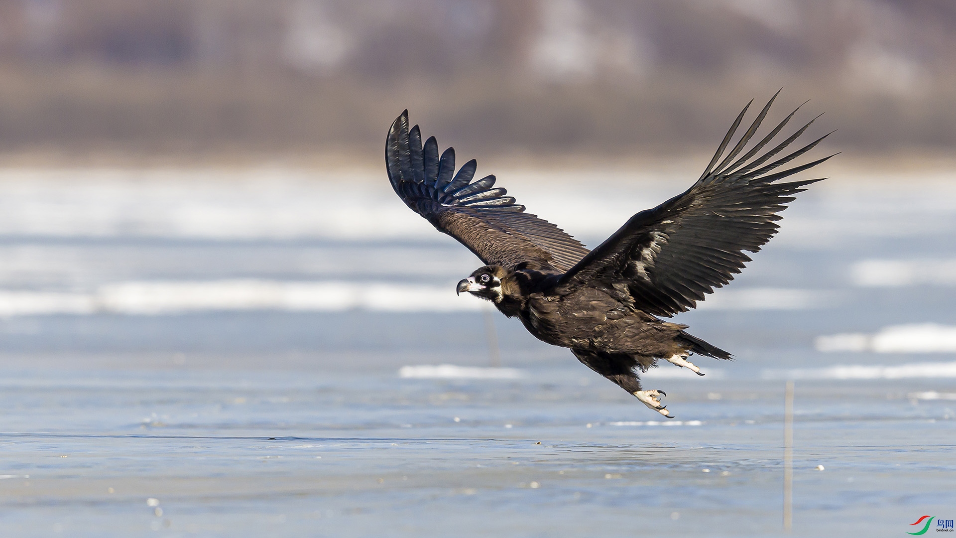 051A2751 ����n.jpg