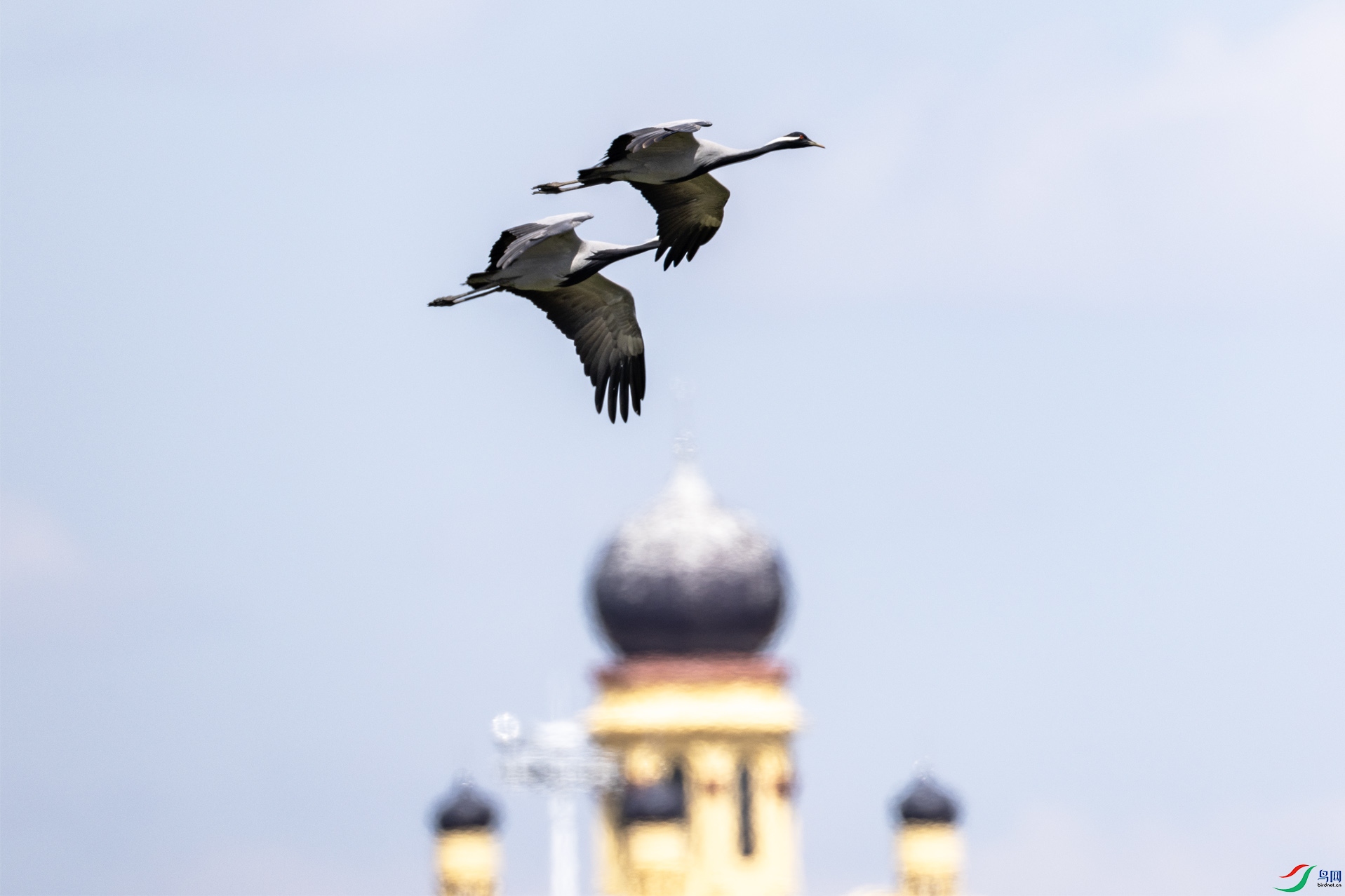 4K2A0454 �����002.jpg