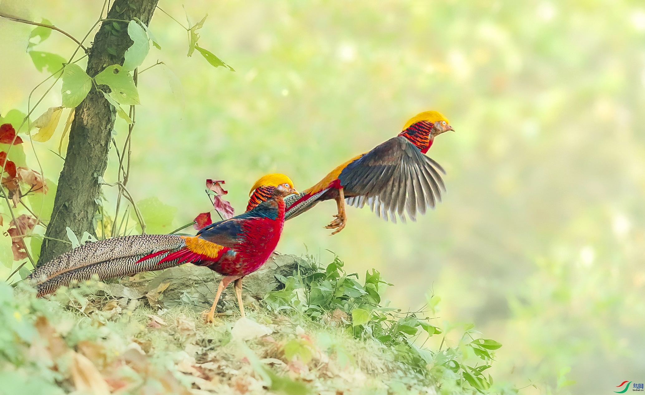 _U4I2467 ���� 3.jpg