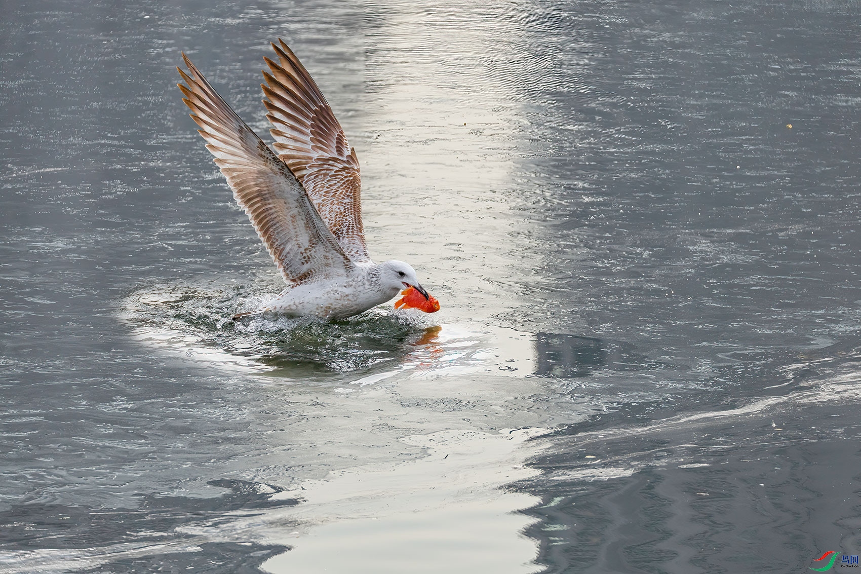 BK0A4214_033-06.jpg