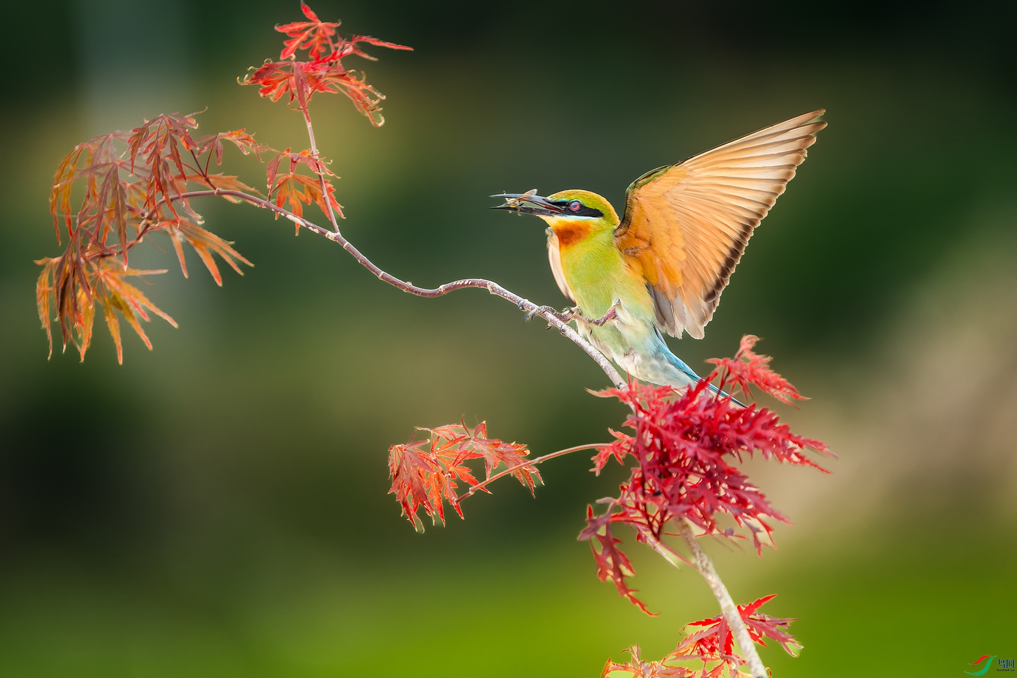 DSC08882 ����a.jpg