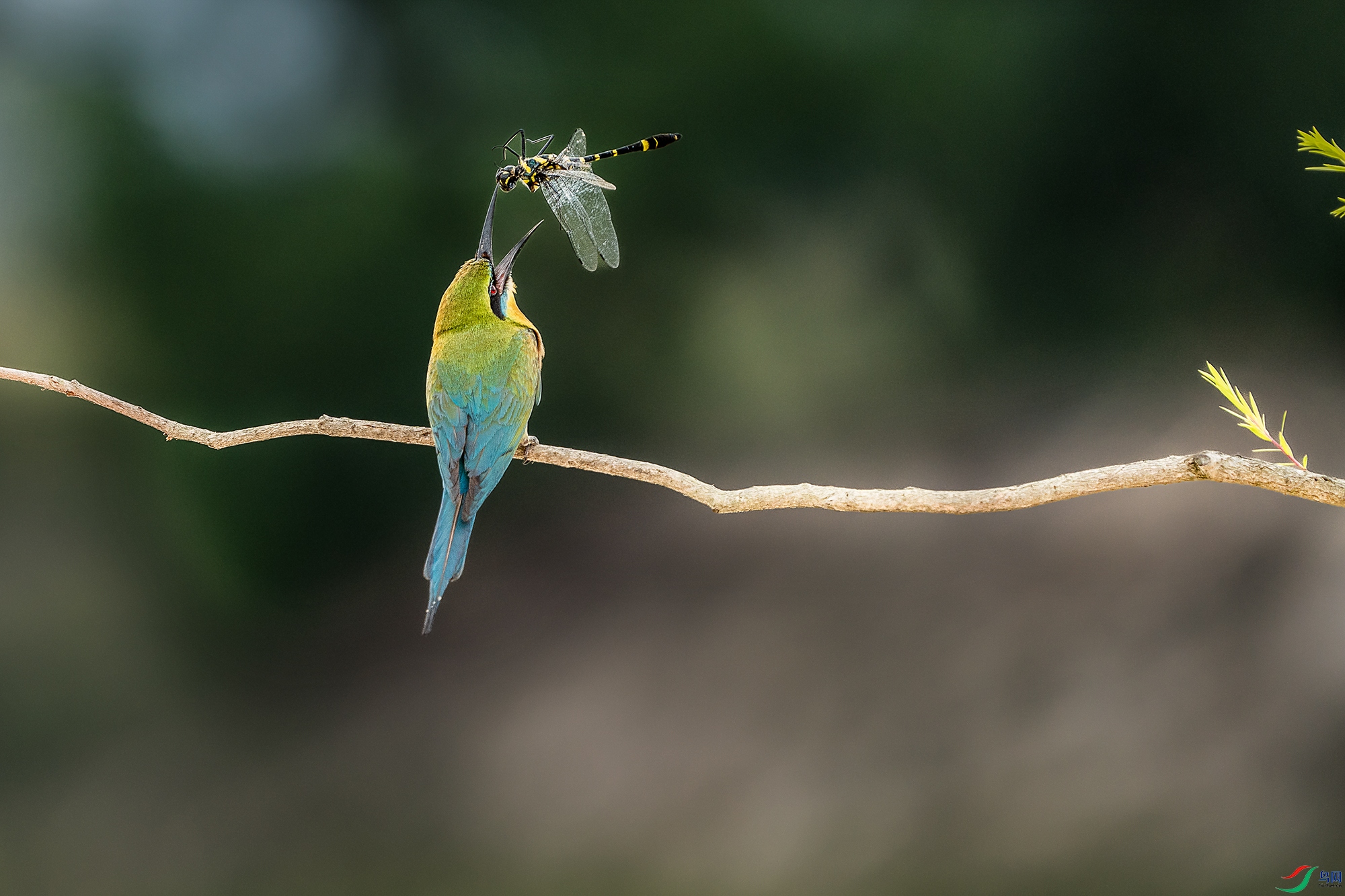 DSC09034 ����aa.jpg