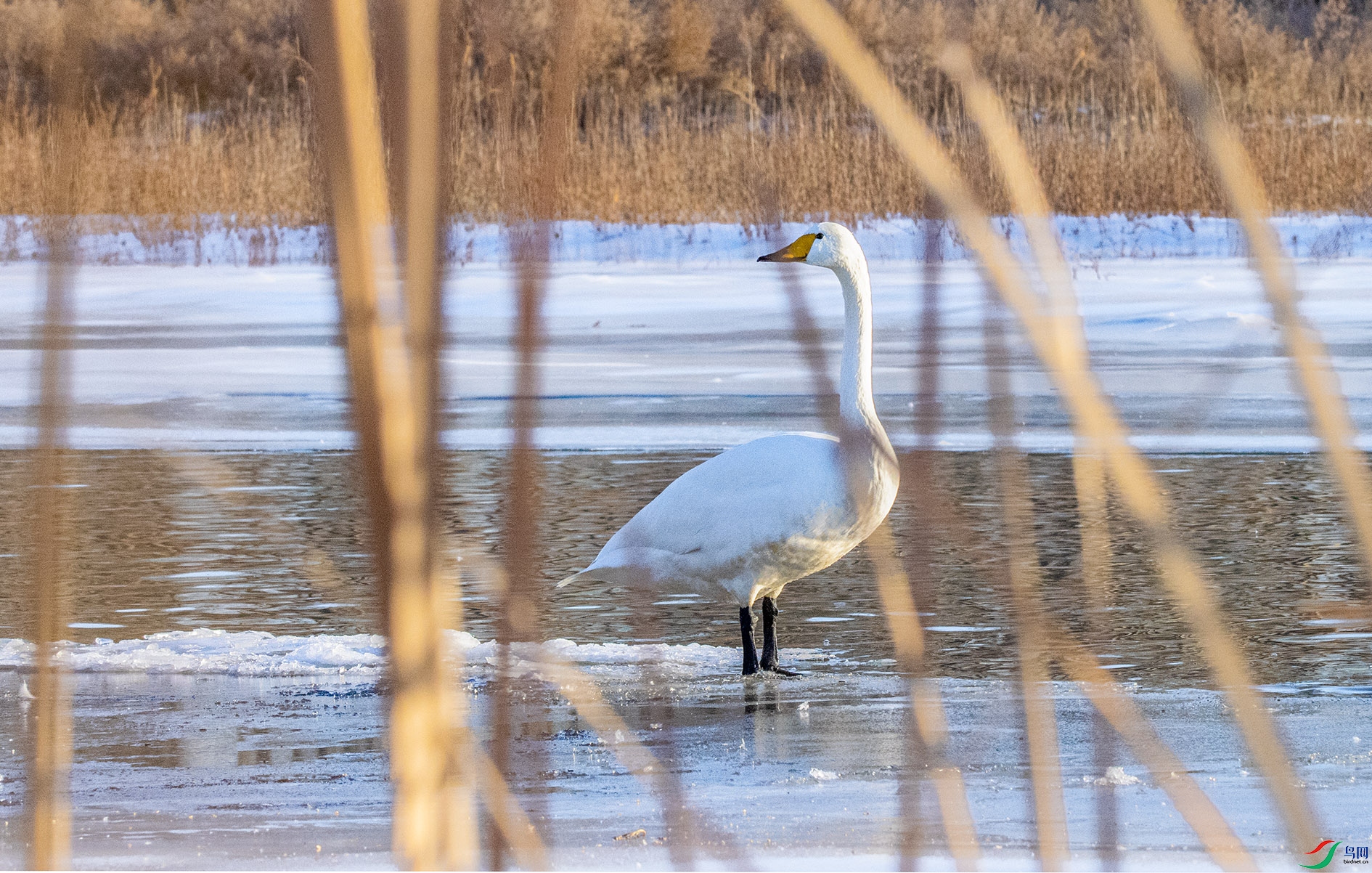 DSC_8444 ����.jpg