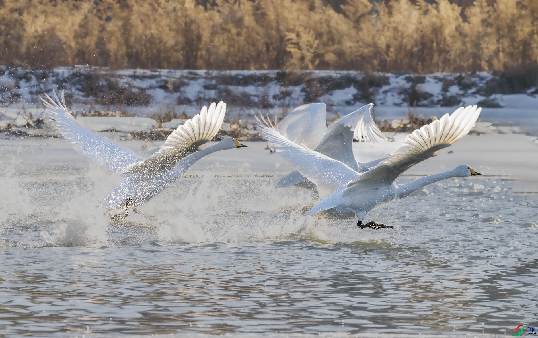 DSC_8401 ����.jpg