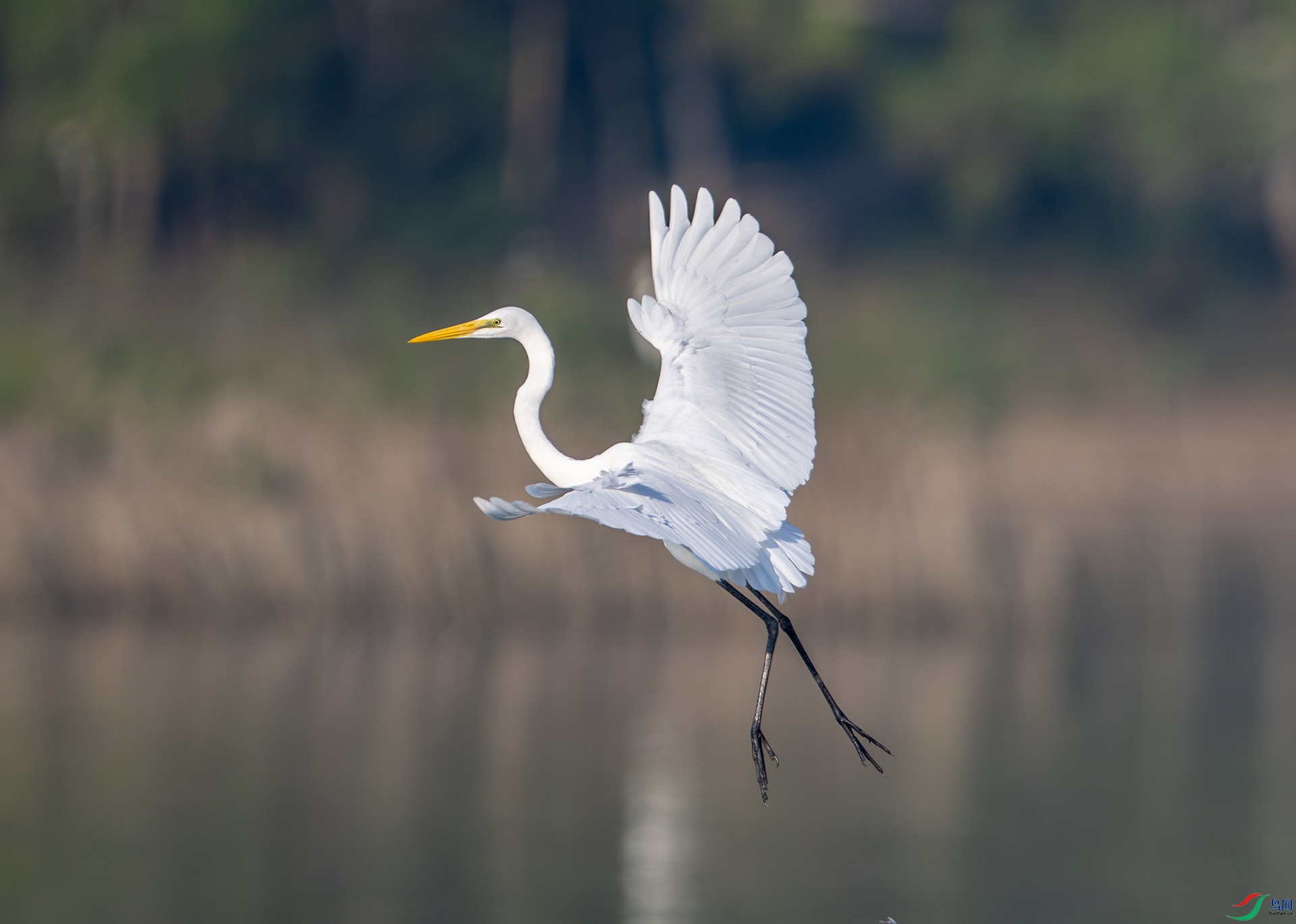 DSC_1065-1.jpg