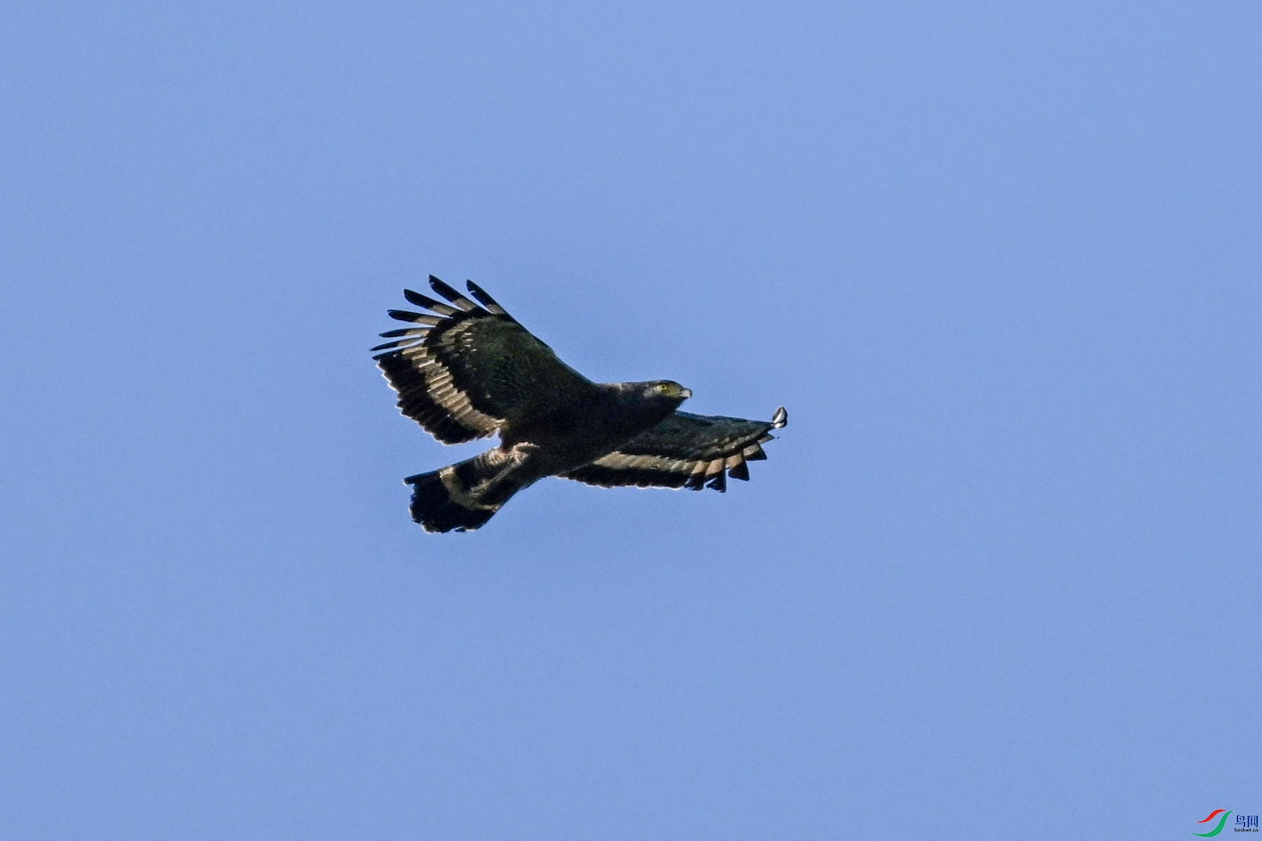 DSC_6275.JPG