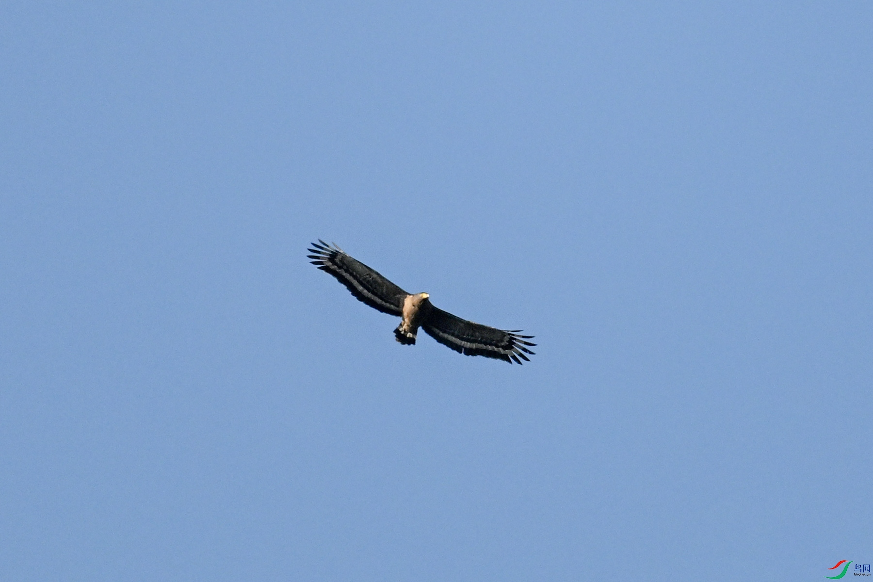 DSC_6228.JPG
