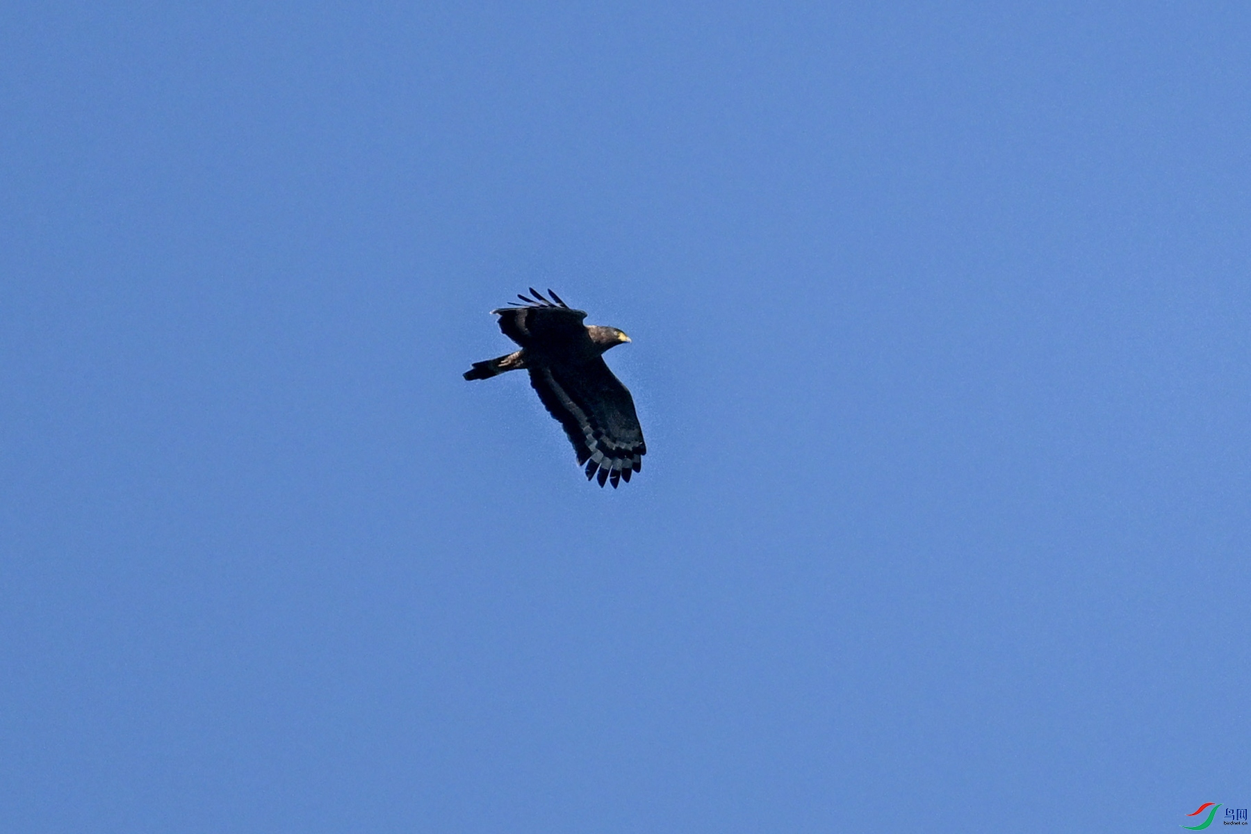 DSC_6264.JPG