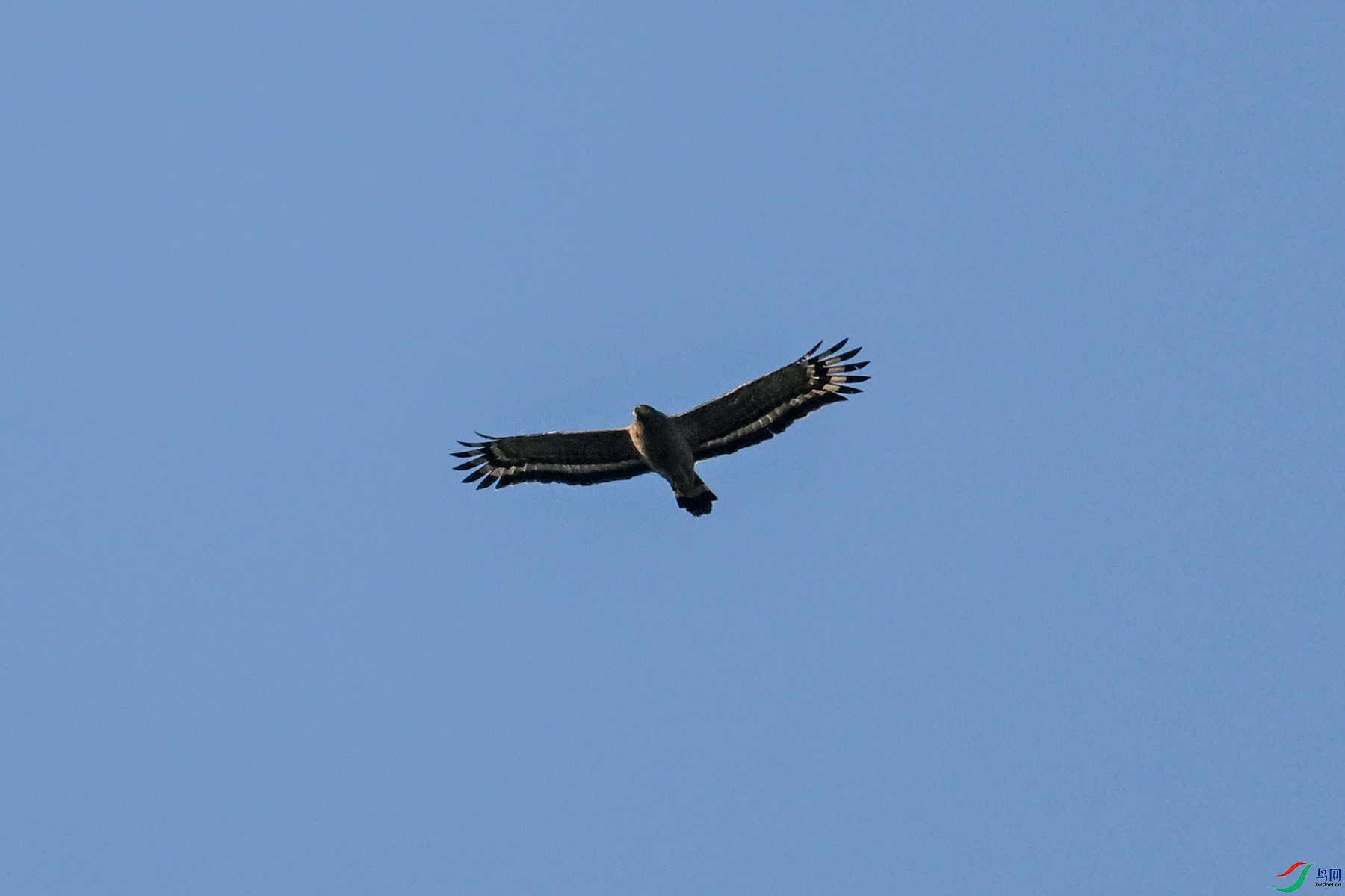 DSC_6240.JPG