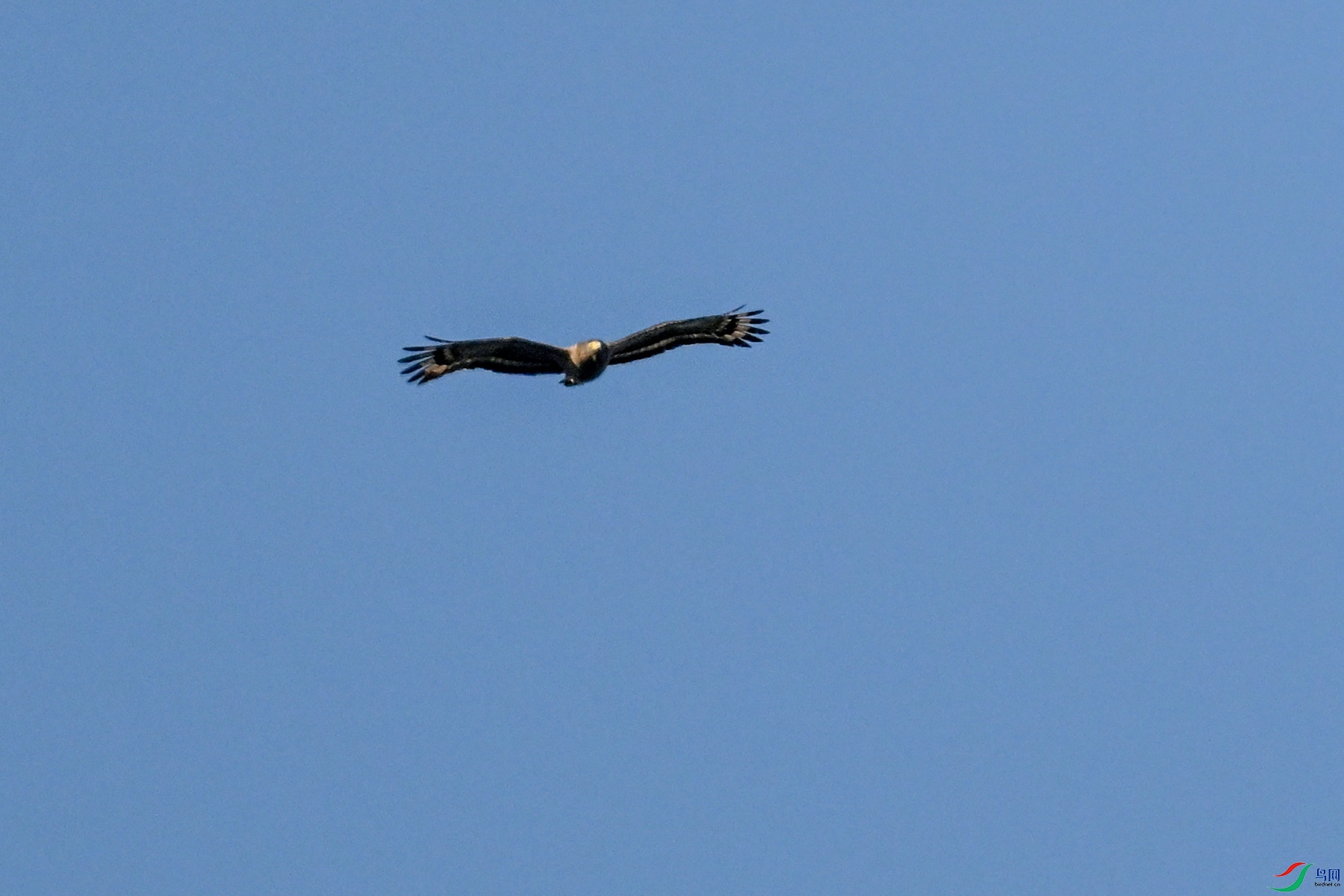 DSC_6231.JPG