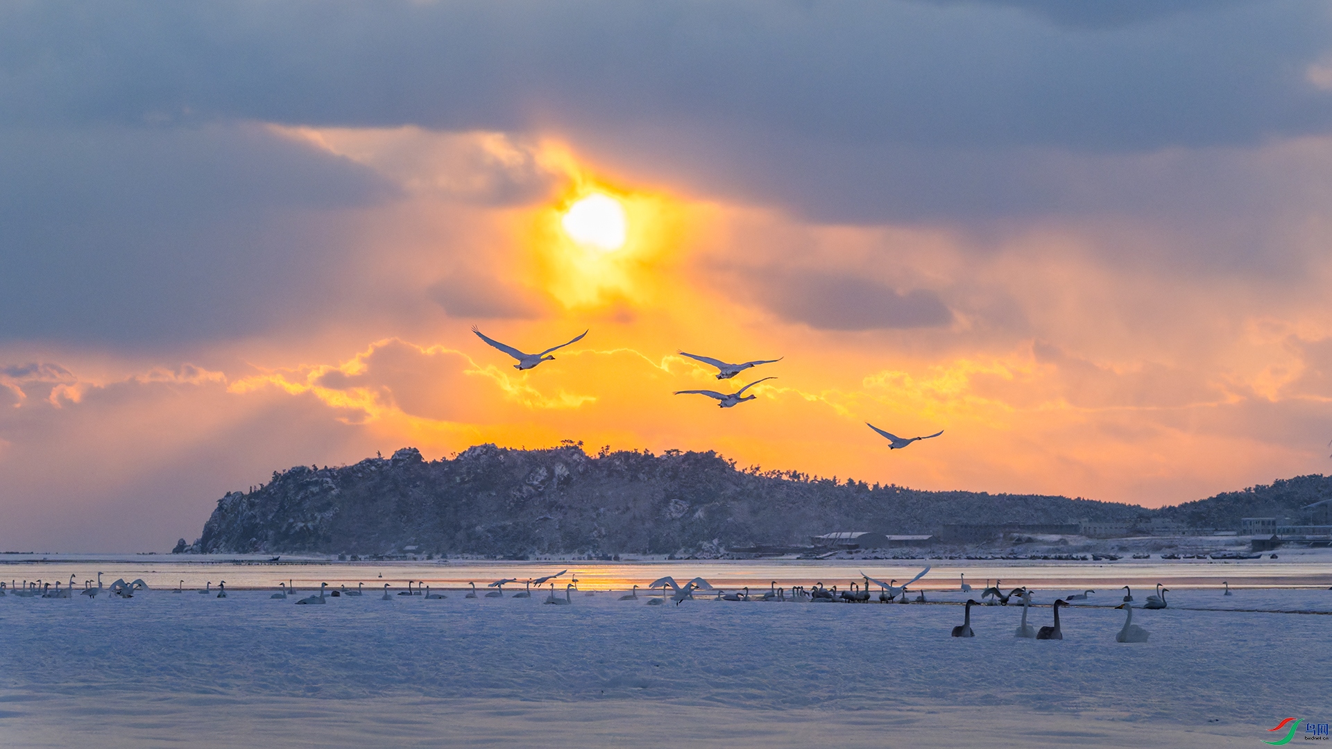 _DSC1103-DxO_DeepPRIME 3-1.jpg