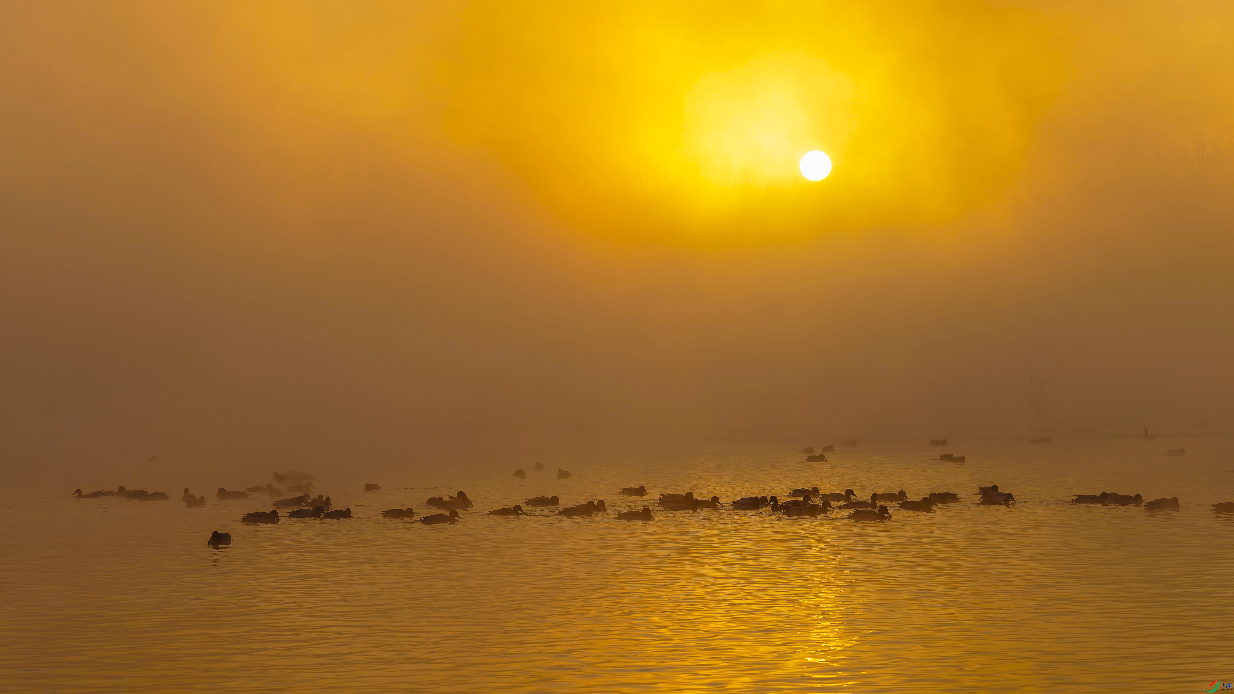 20260125-_DSC0581.jpg