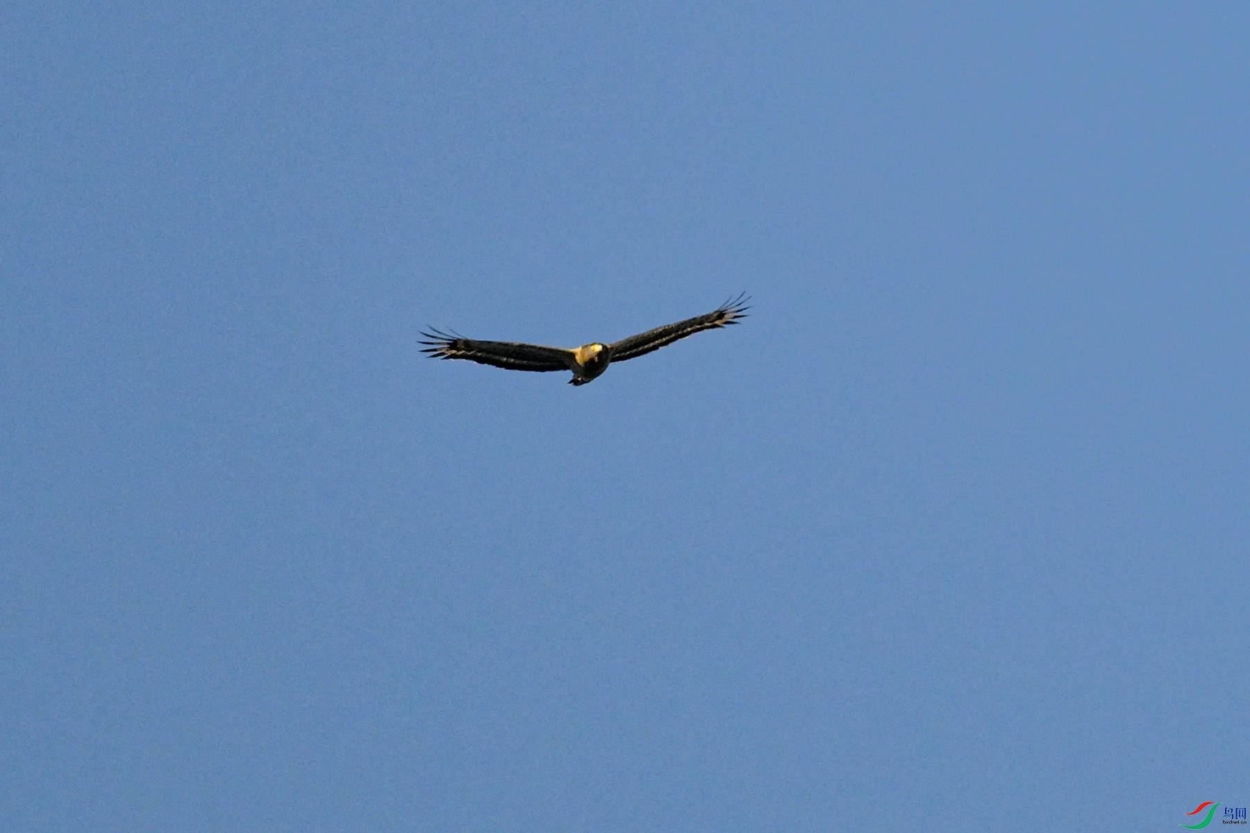 DSC_6232.JPG