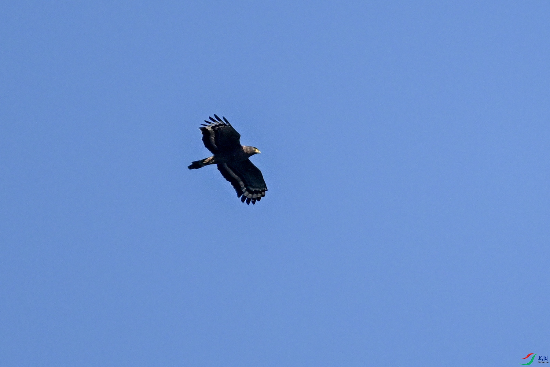 DSC_6263.JPG