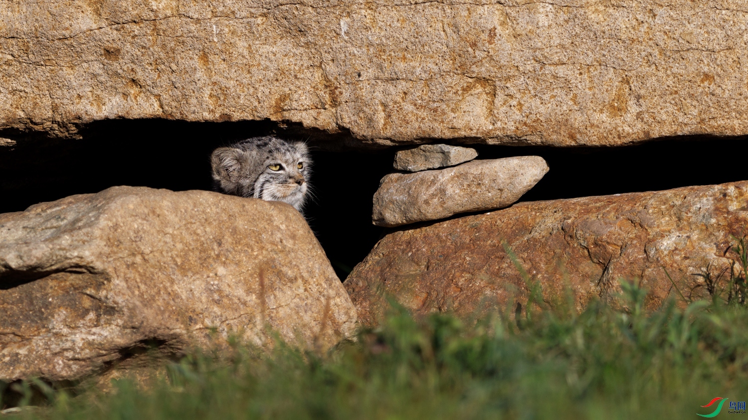 3Z6A0512 ����.jpg