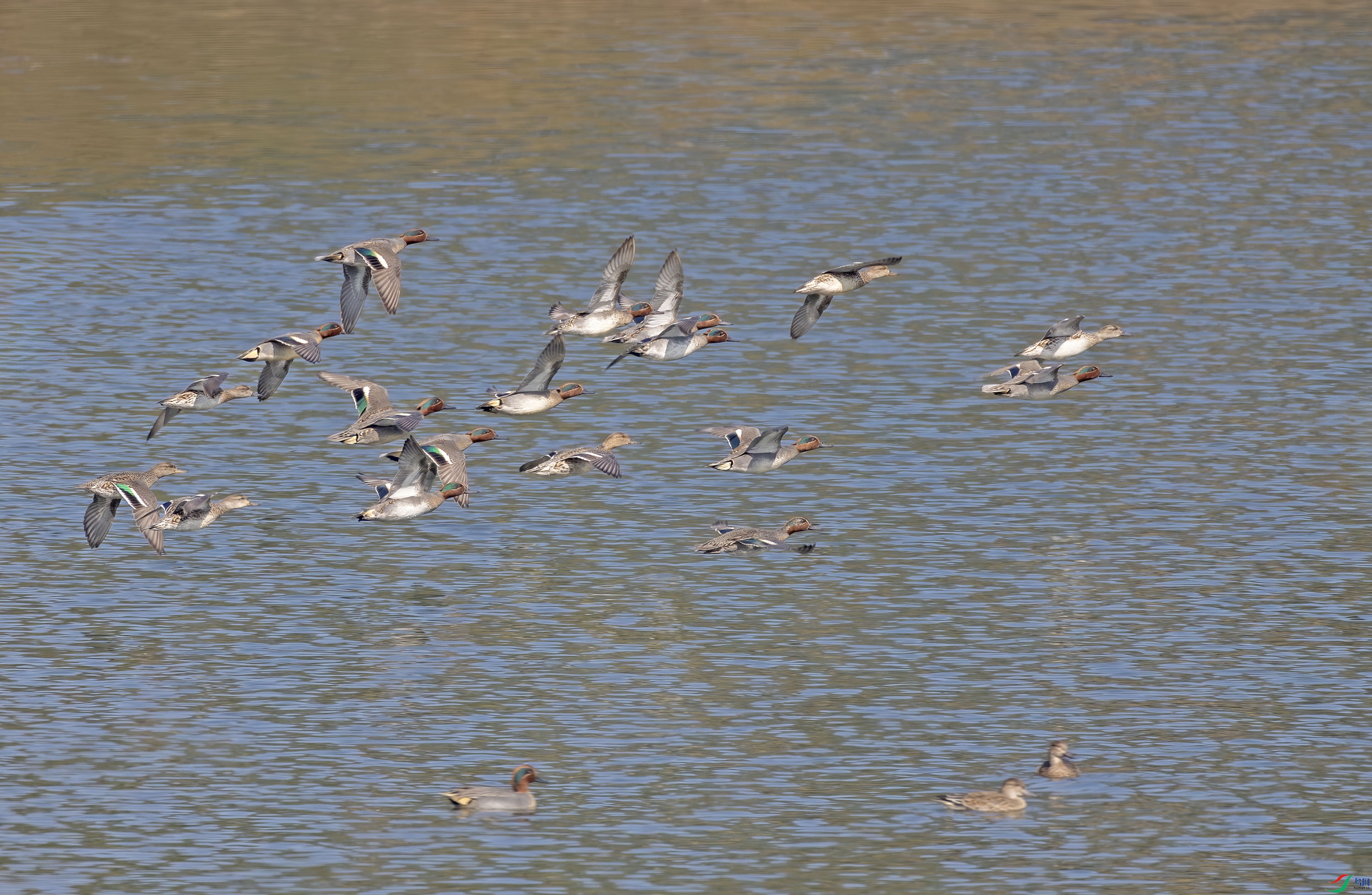 G47A3060-����ǿ-NR ����.jpg