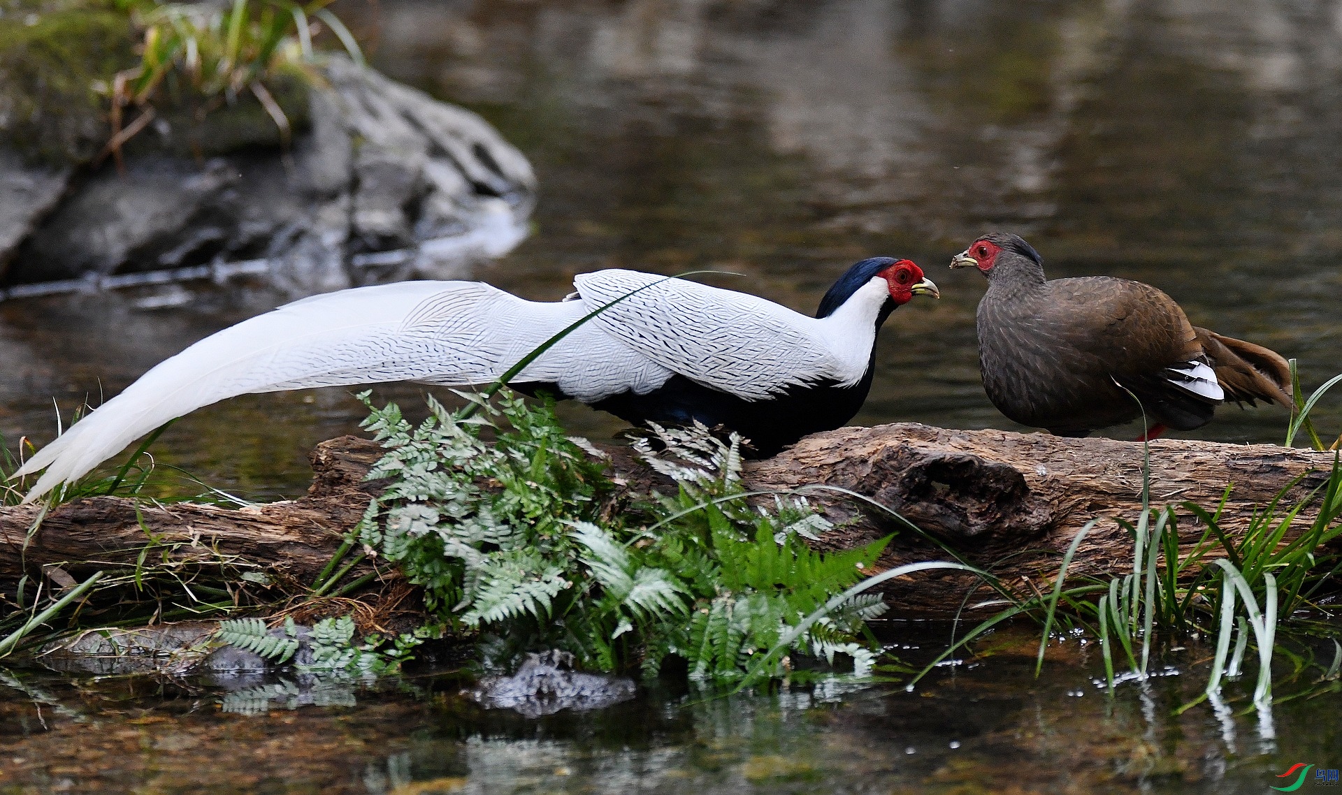 DSC_1679.jpg