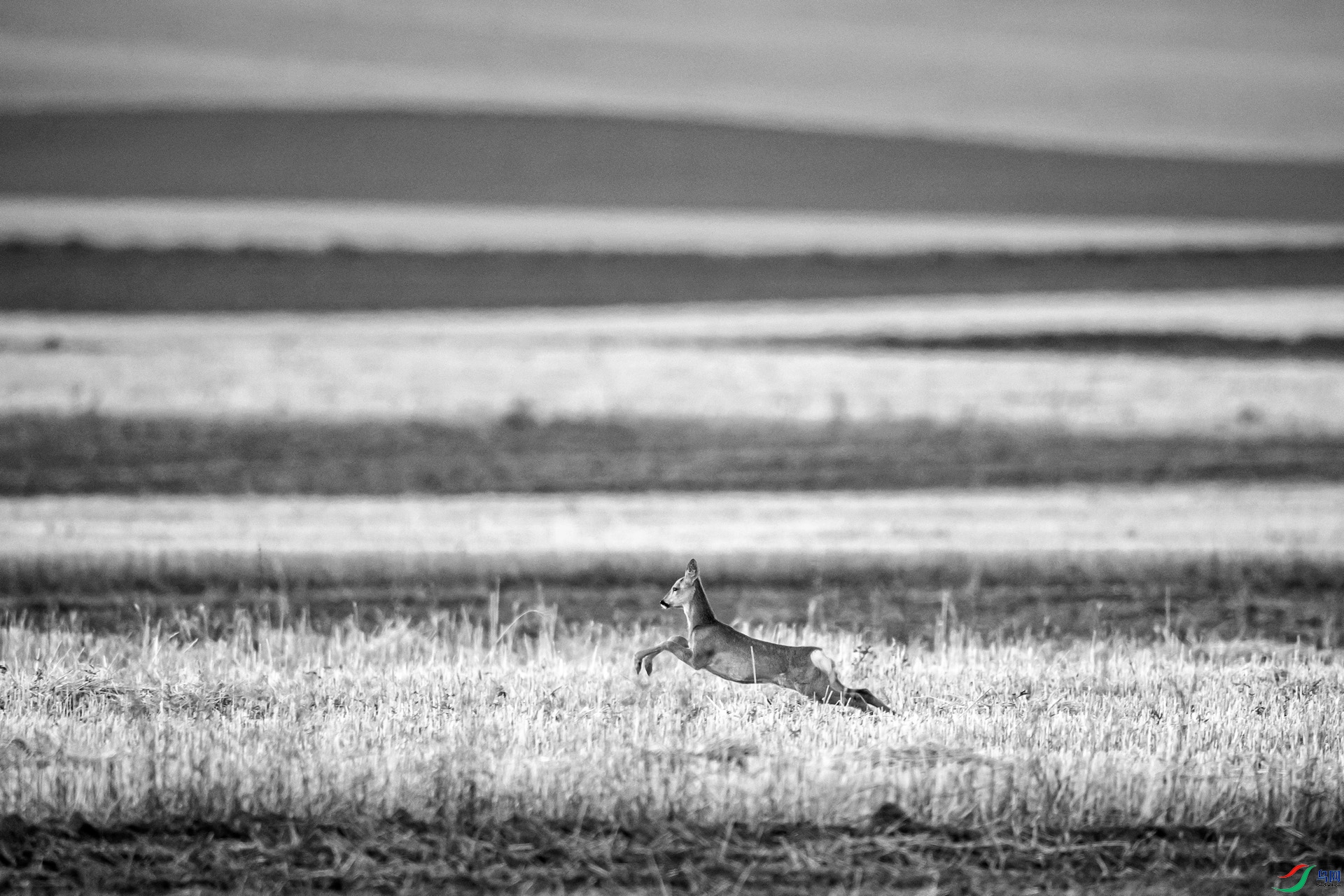 DSC_53960.jpg