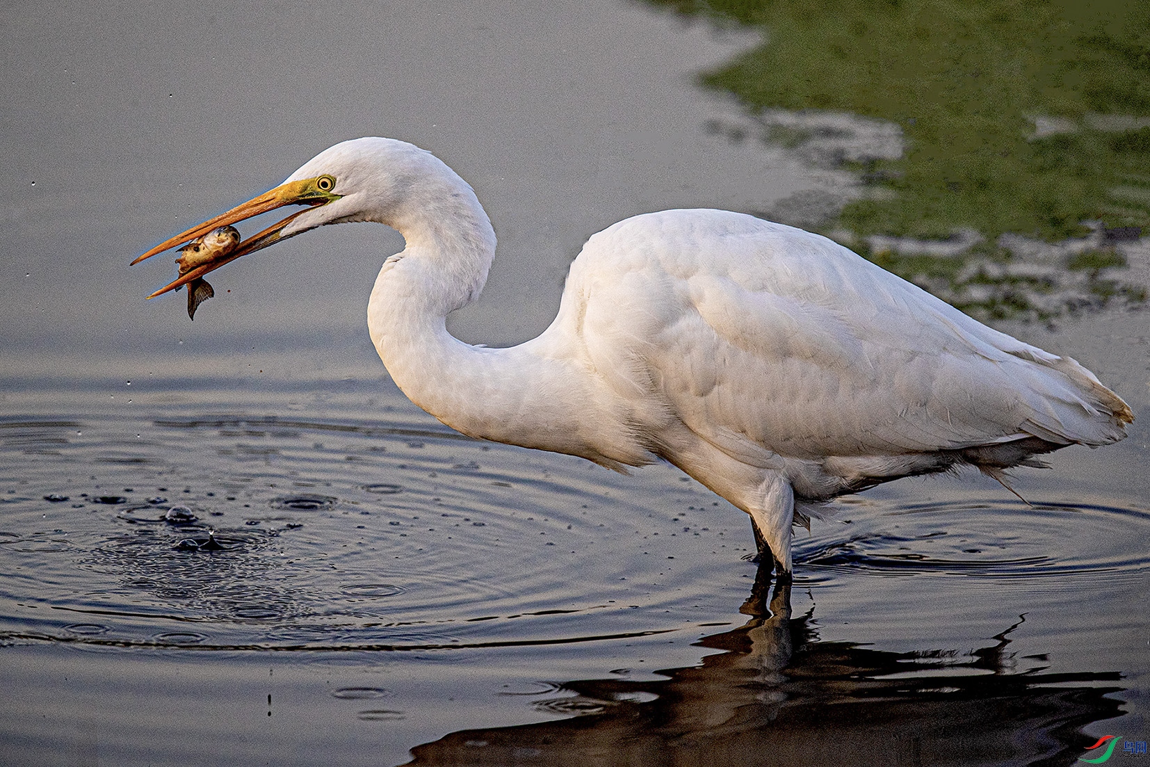 _90I7185 ���� 2.jpg