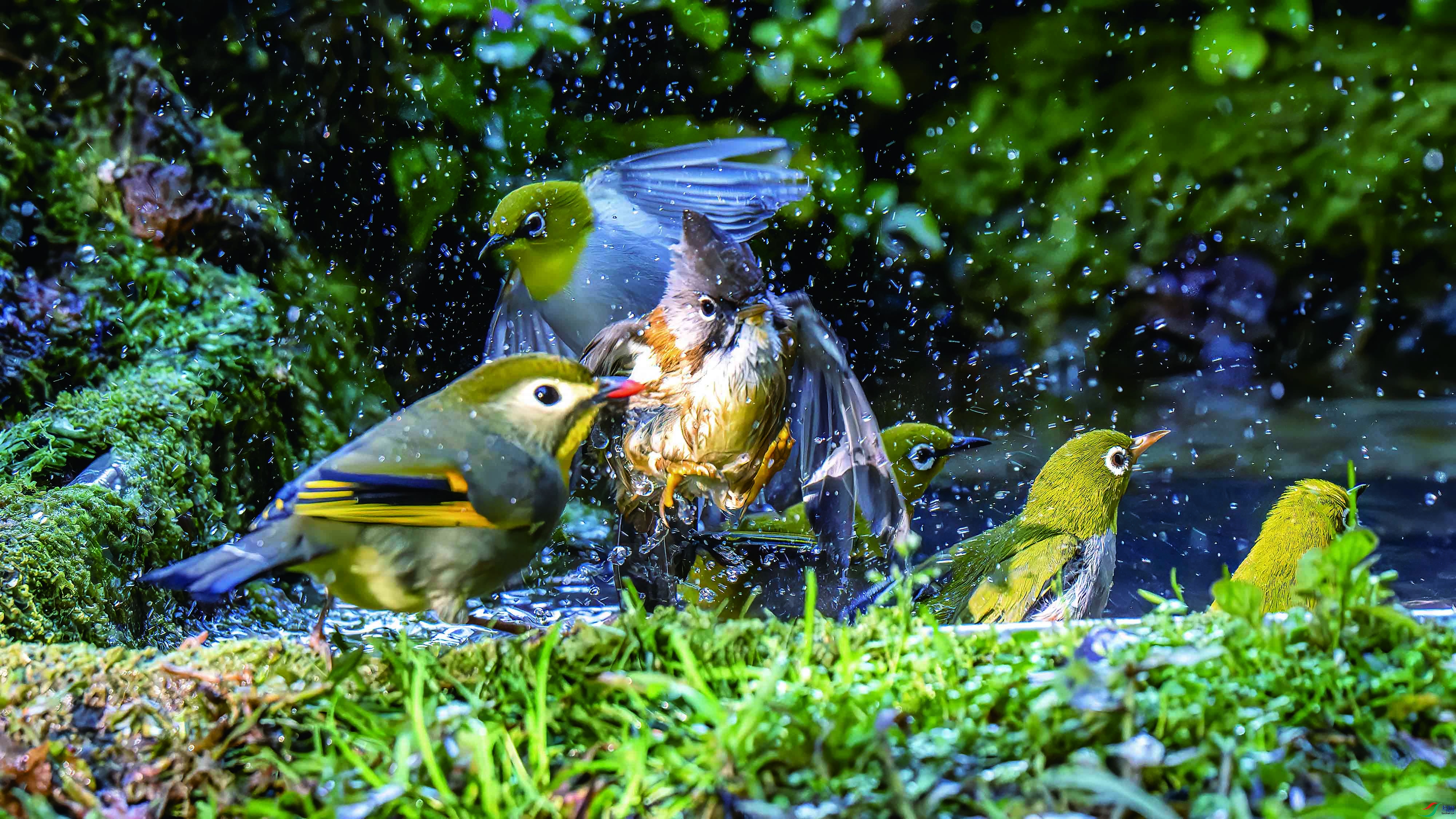 DSC_2476.jpg