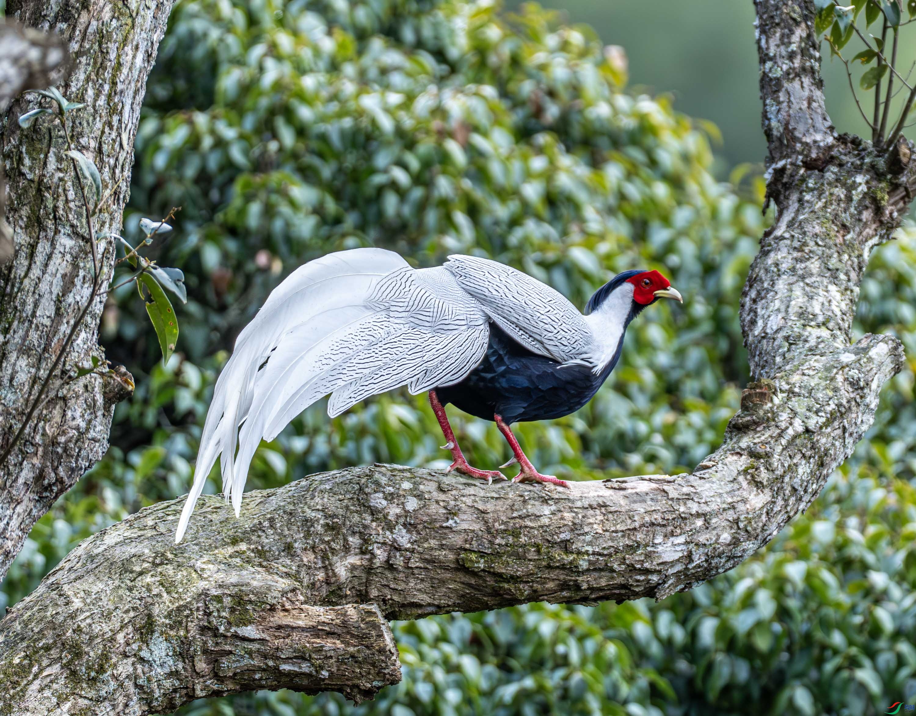 ����-01-1.jpg