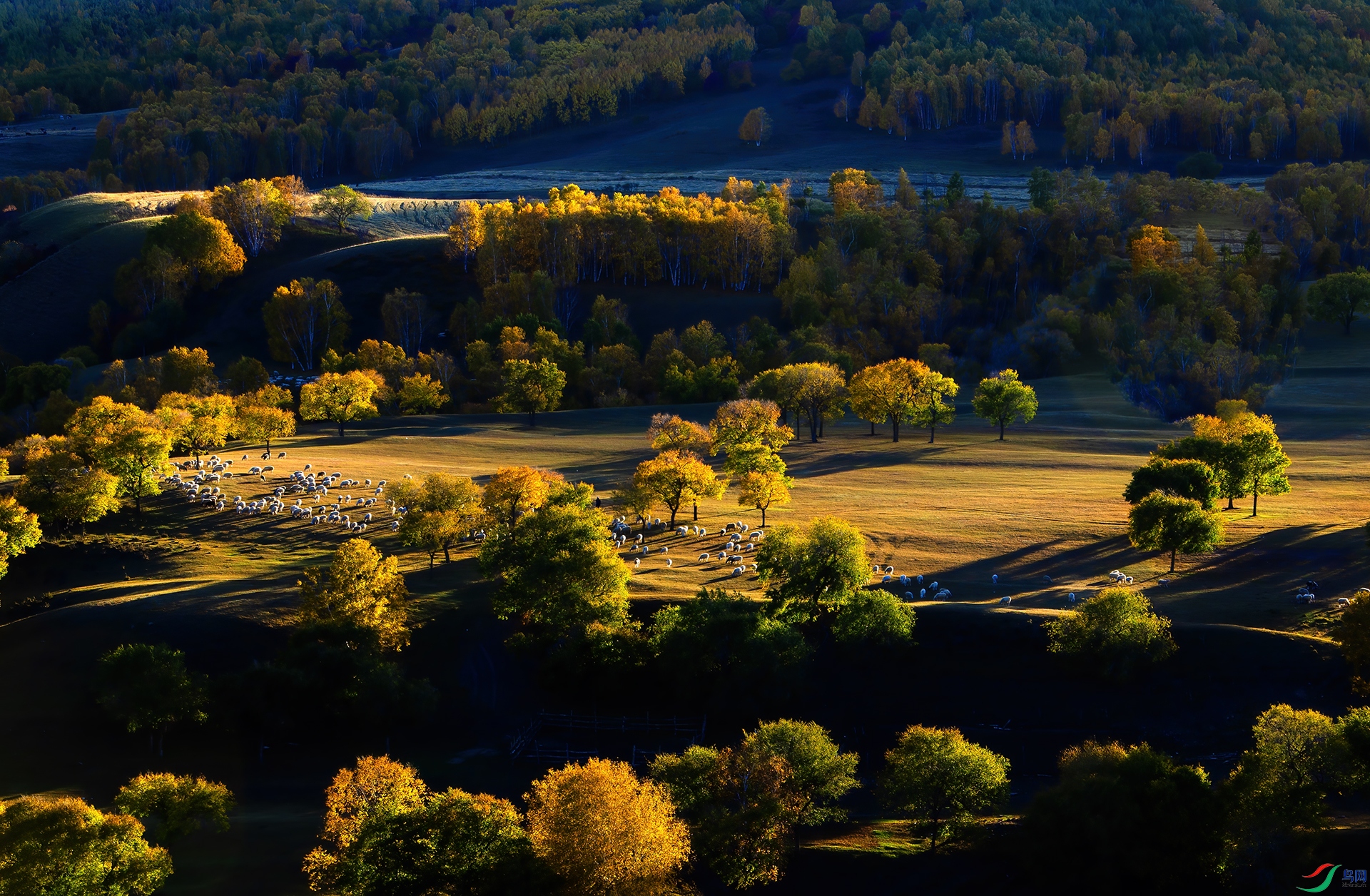 DSC_5814- �＾����ͼ.jpg