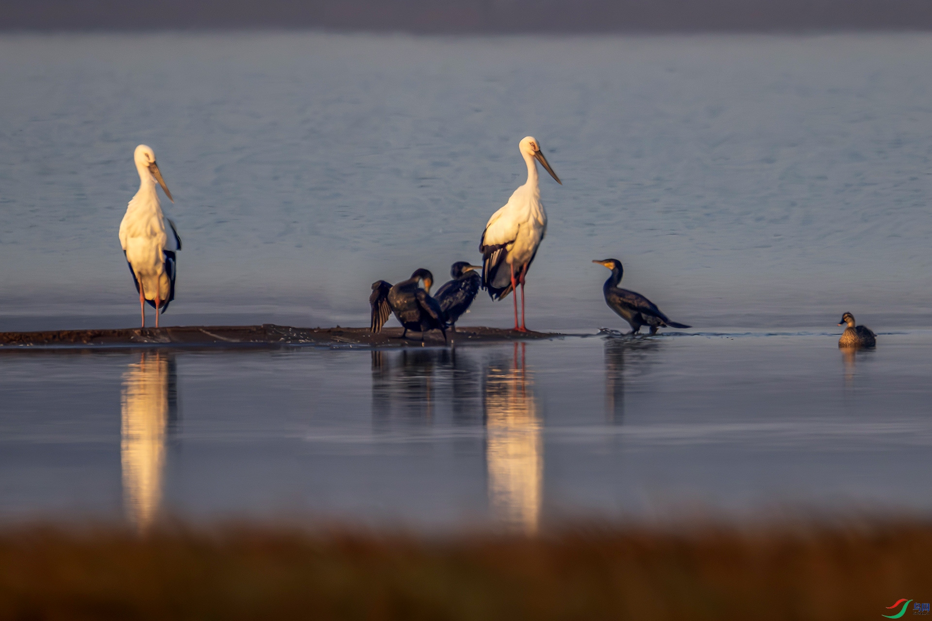 407A0512------22  .jpg