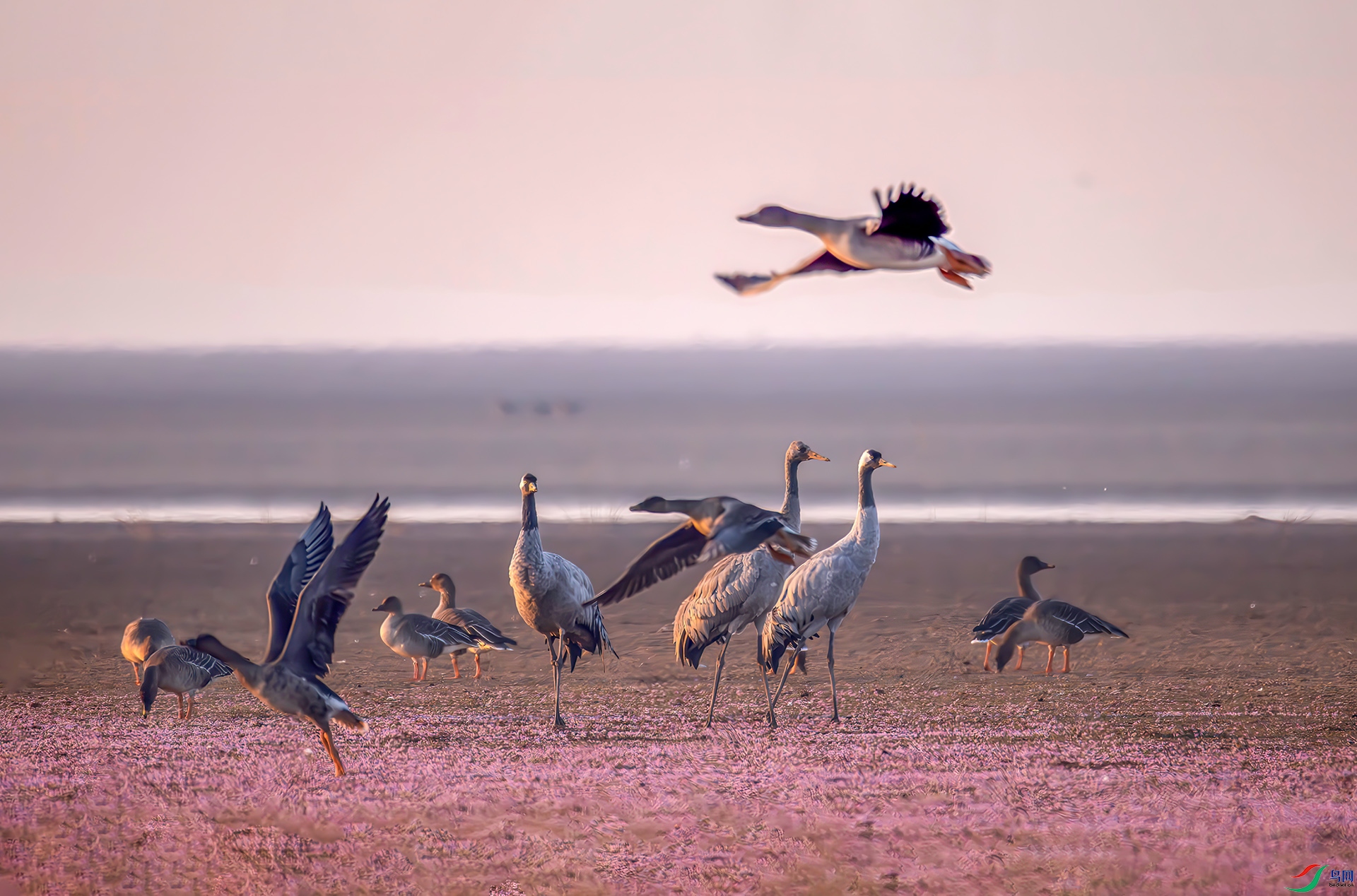 407A4234------22  .jpg