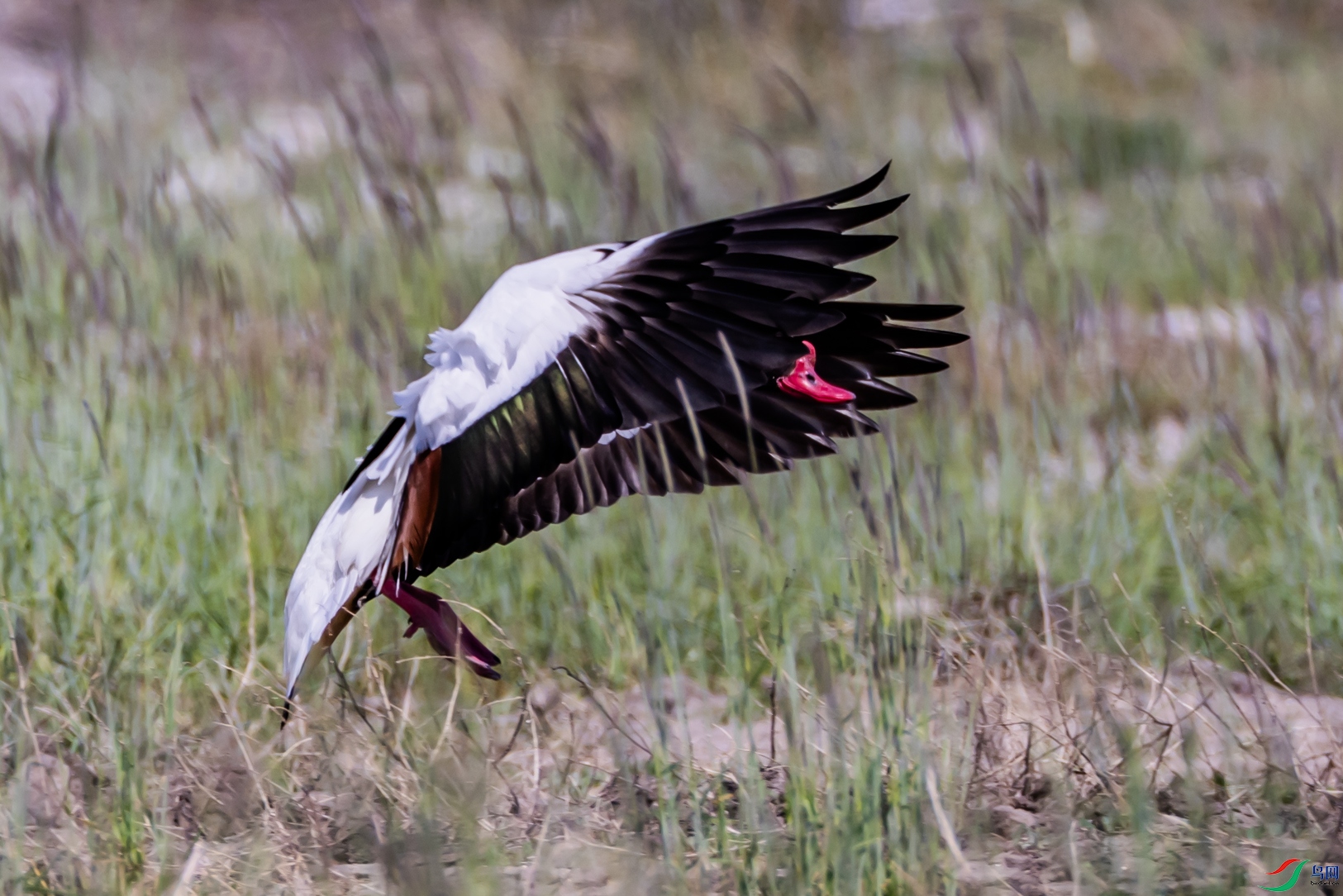 4K2A0216 �̱���Ѽ001.jpg