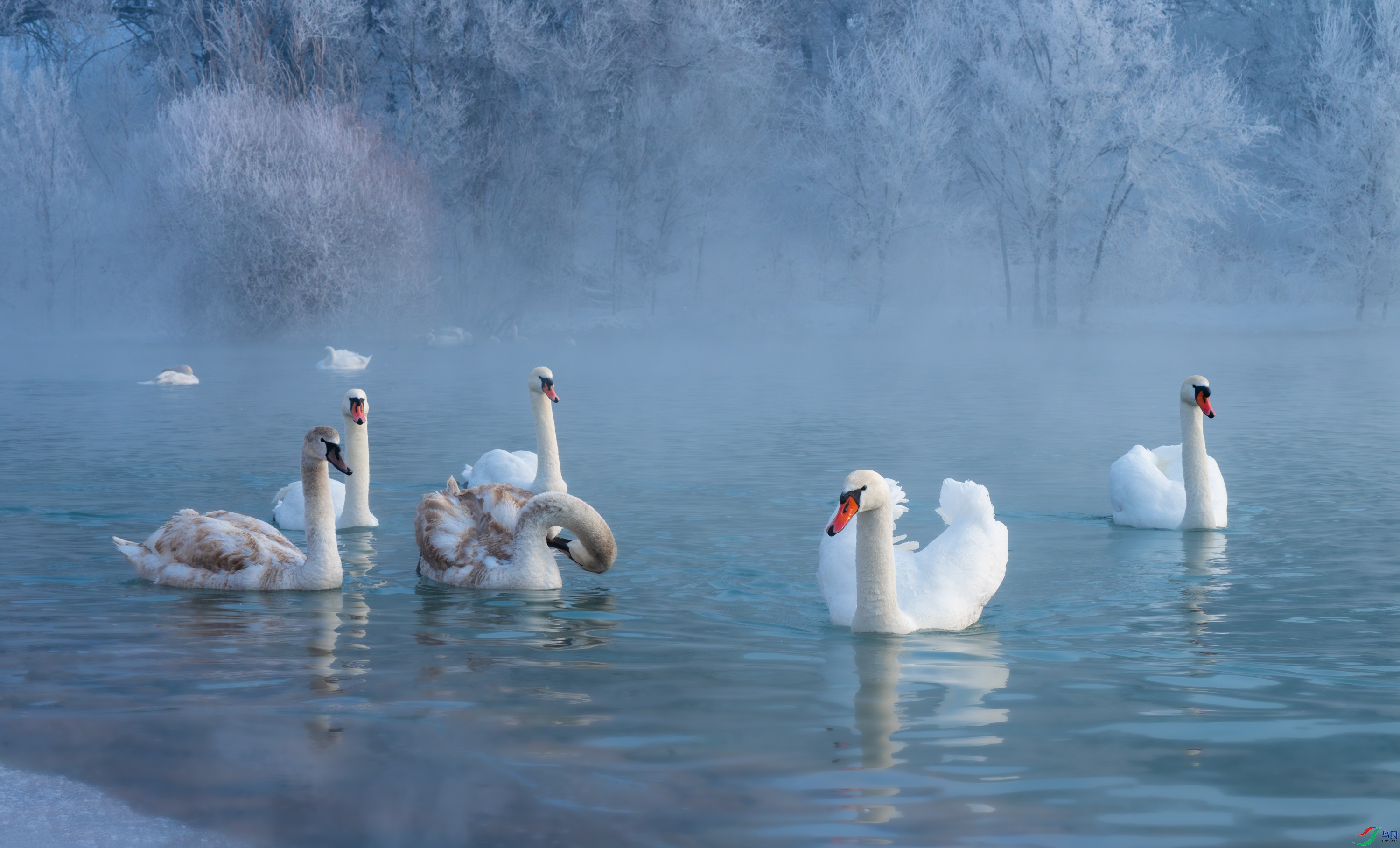 DSC_4815-11.jpg